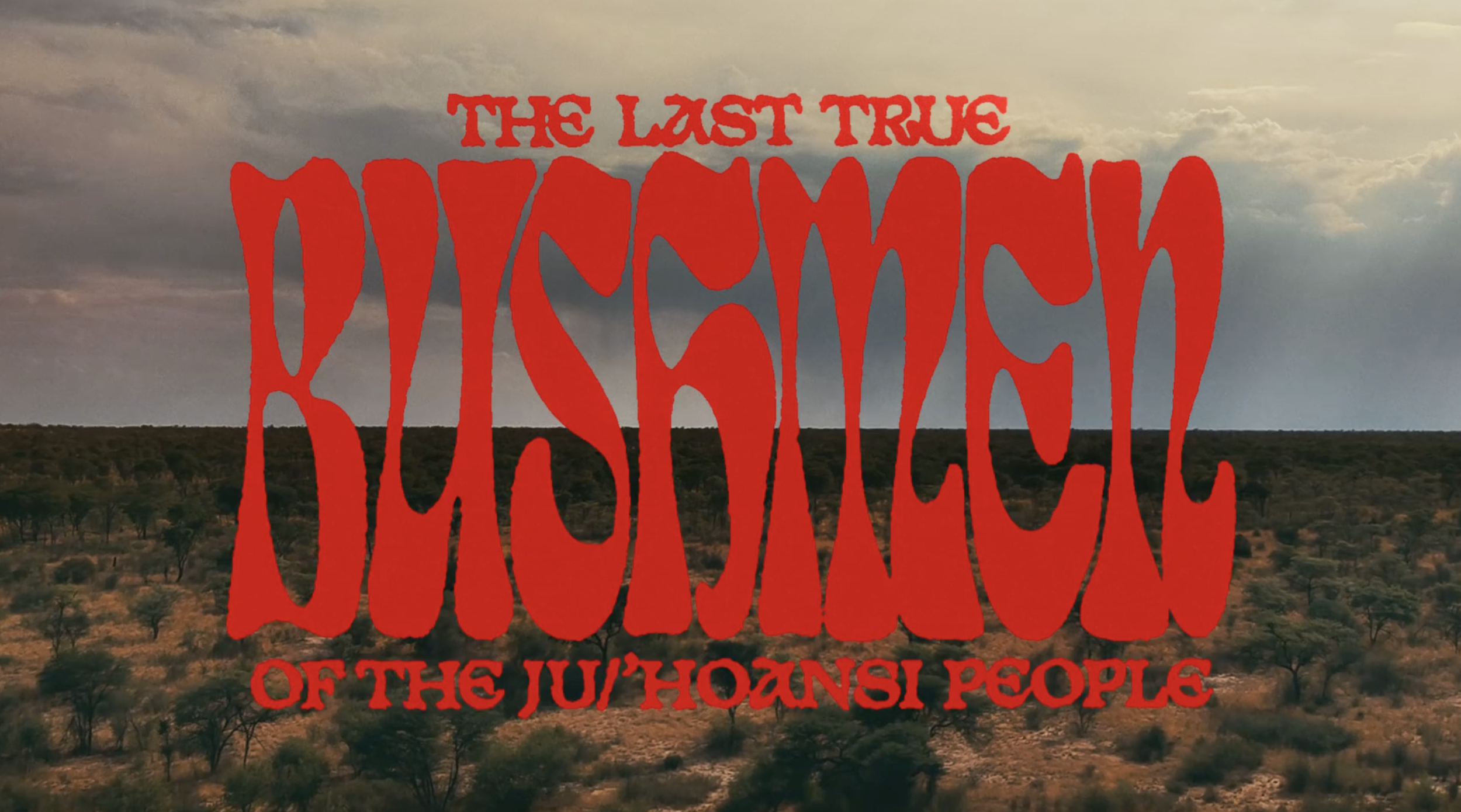 Screenshot 2026-04-09 at 17.03.00.png