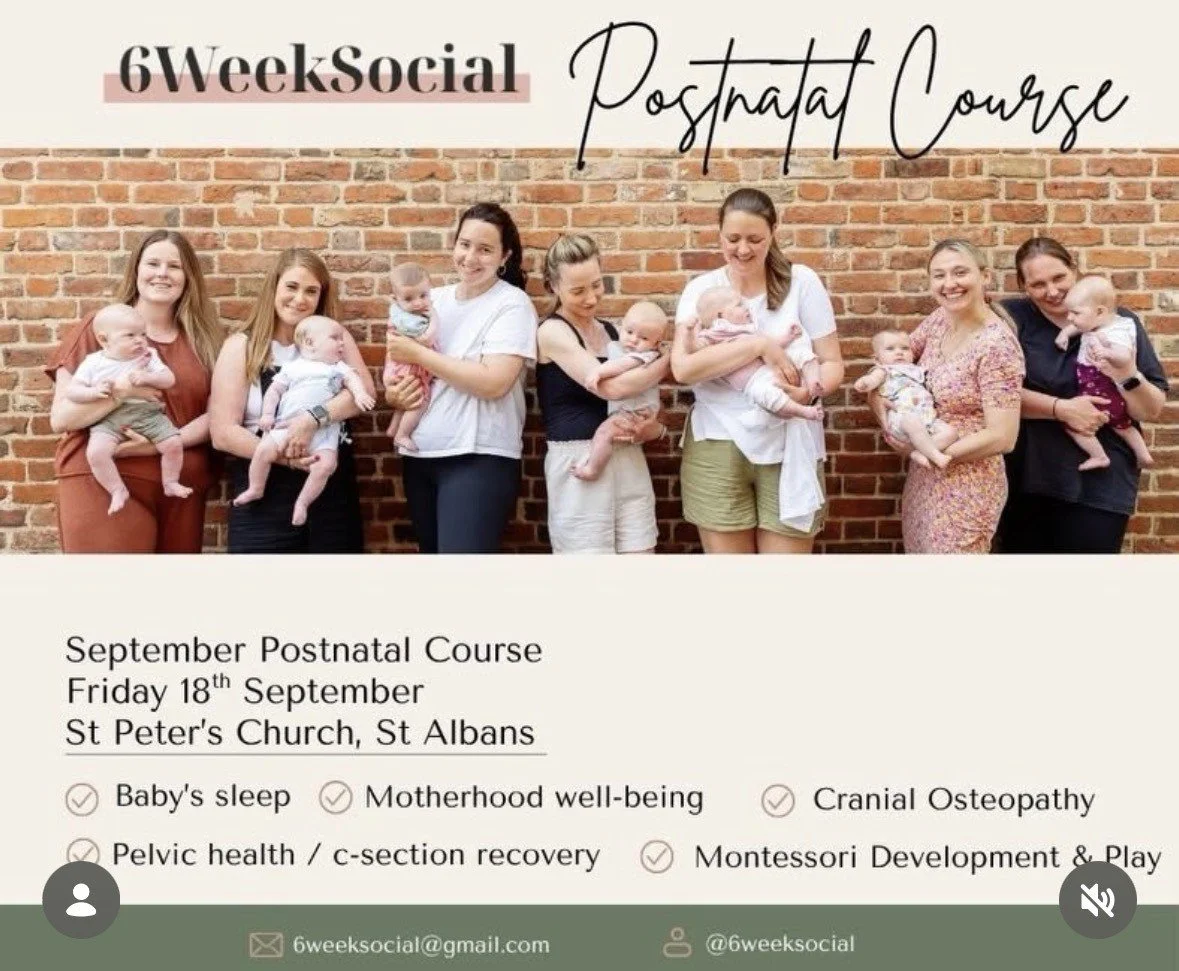 Six Week Social