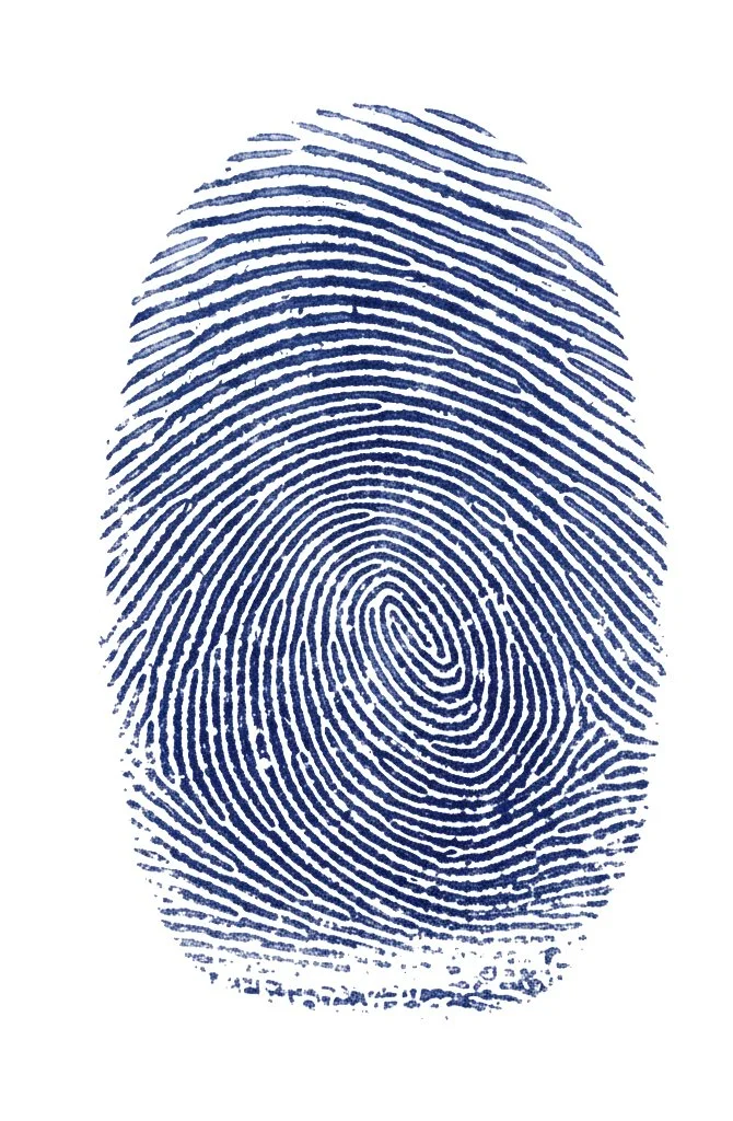 Ein blauer Fingerabdruck auf weißem Hintergrund.