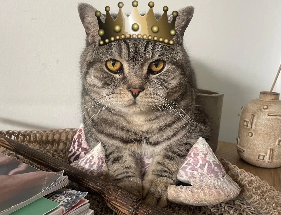 PHOTO-2025-05-10-15-12-13 4.jpg