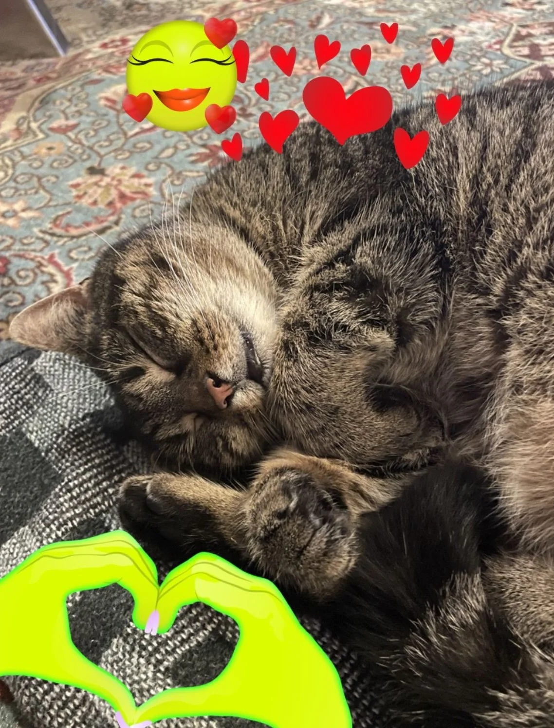 PHOTO-2026-02-05-08-17-05 2.jpg