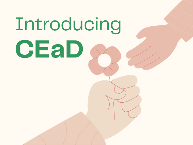Introducing CEaD – a relationship-led approach to working with communities 