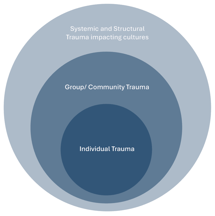 Trauma Informed and Trauma Responsive Care — Imroc