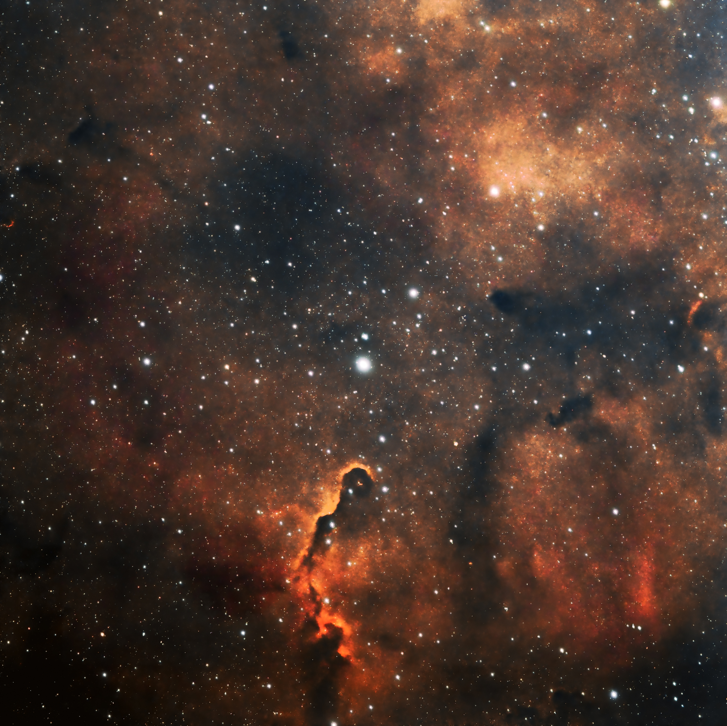IC1396 copy PNG.png