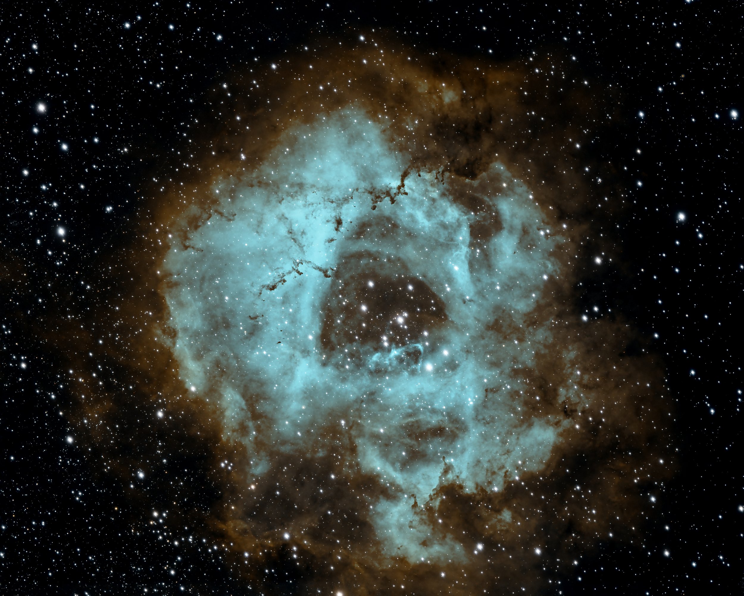 NGC2337 Final.jpg