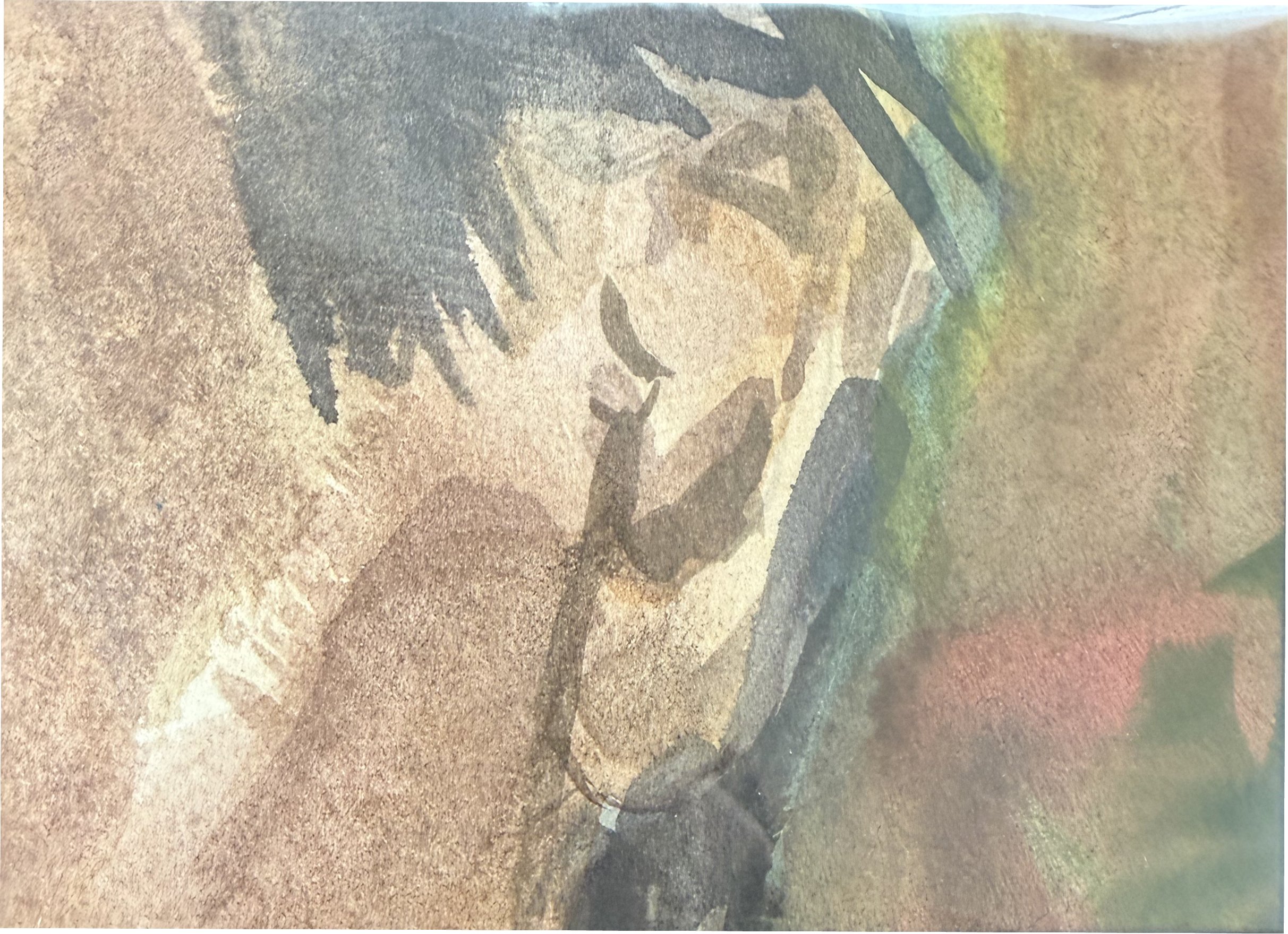 An ear. Fragment
Watercolors 2.5 x 3.5