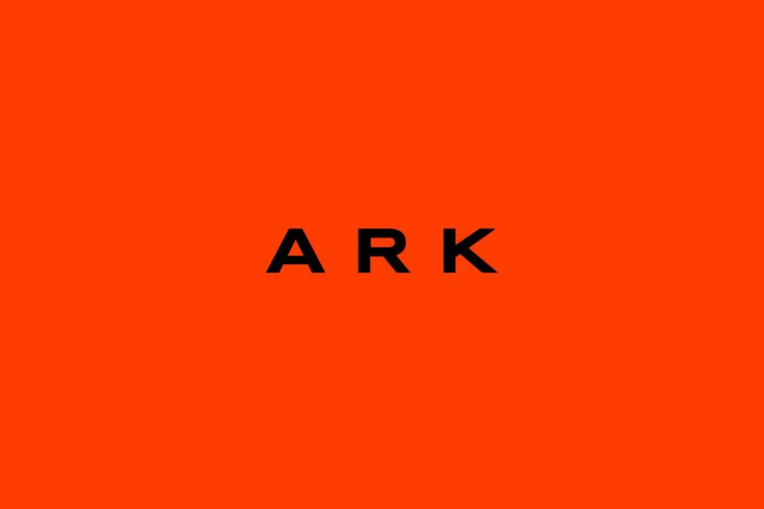 ARK logo on new orange.jpg