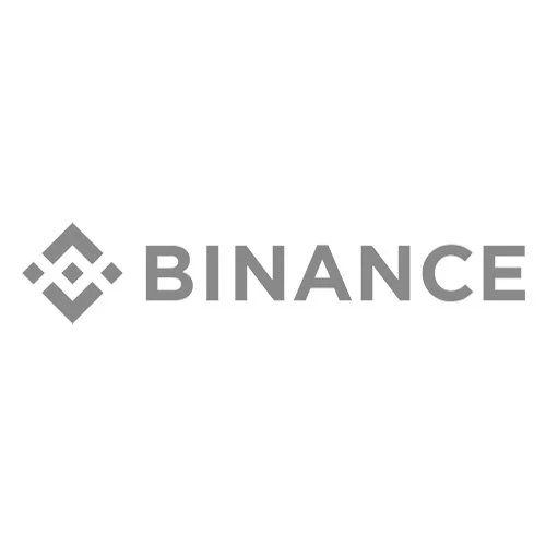 Binance logo in gray on a white background.