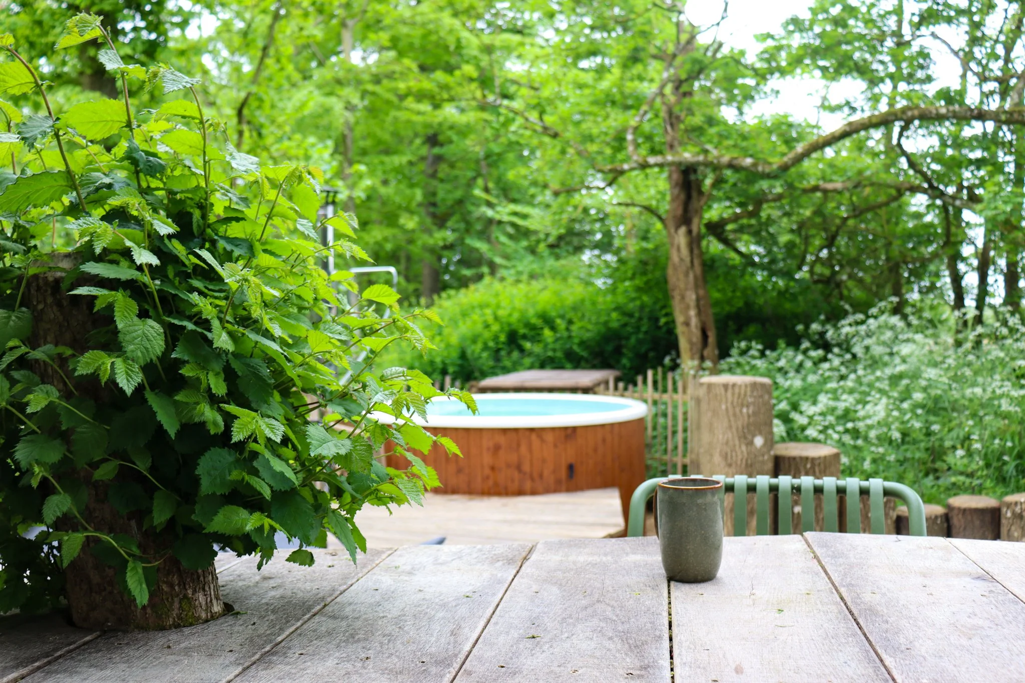 Cabin_Outside_17.jpg