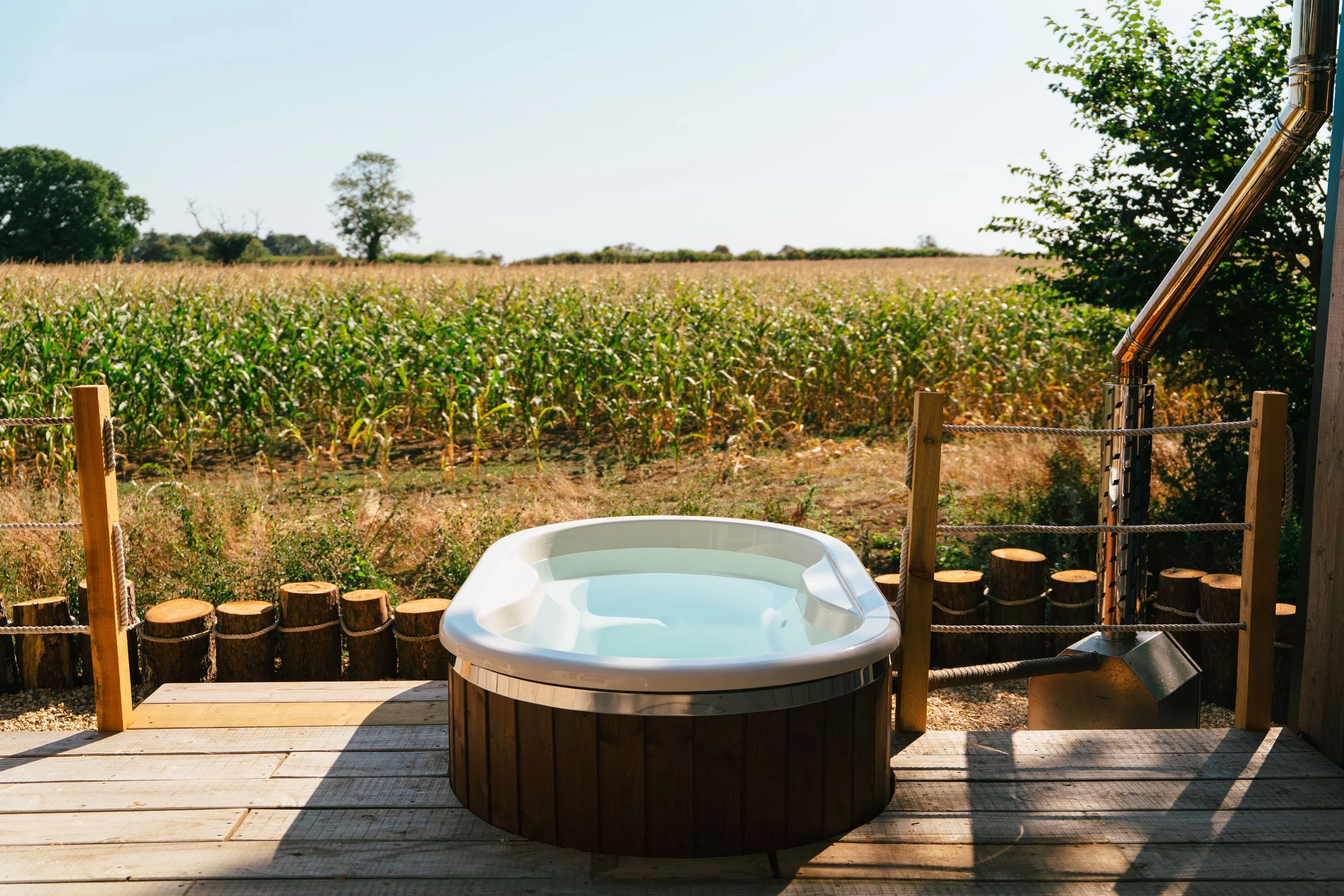 A garden scene with a large leafy green bush in the foreground, a hot tub in the background, and a green forested area with a large tree and white flowers, along with a table and ceramic cup in the outdoor setting.