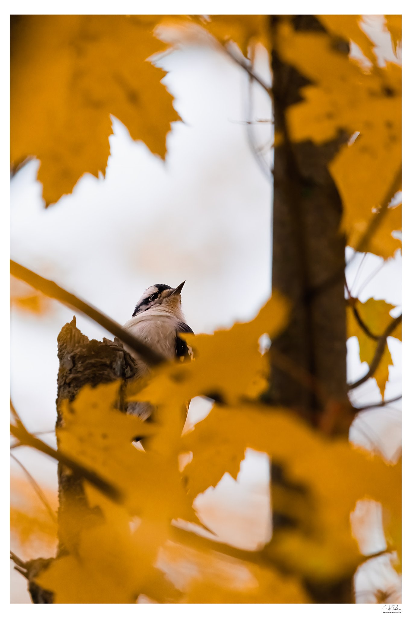 231017_5495-1_fine.jpg