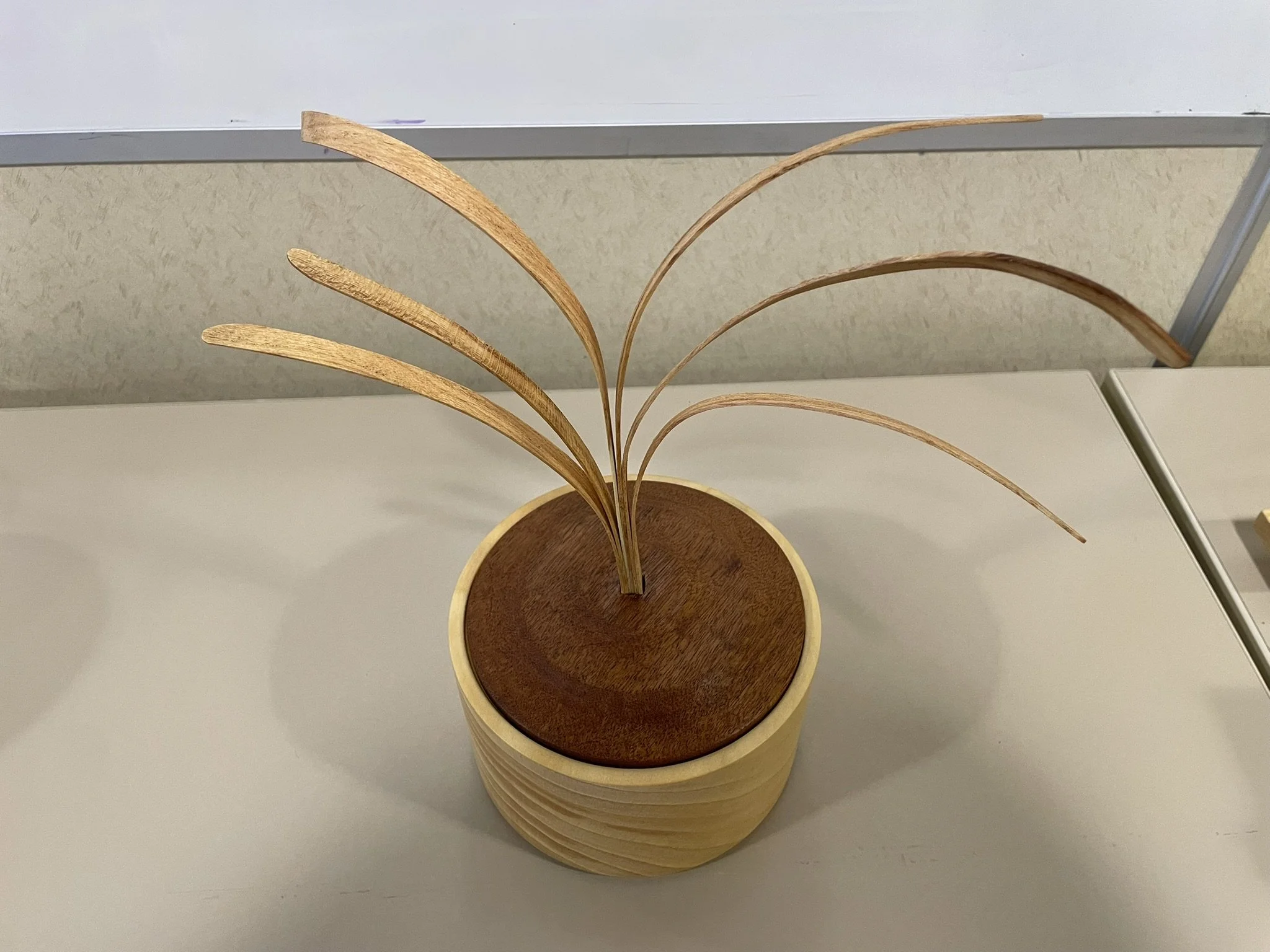 Mark Hayes Turned Box.JPEG