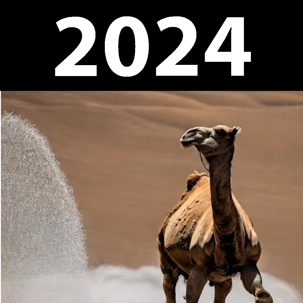 2024. Cover: Irk Bitig - A Catalogue of Omens by Ufuk Ali Gueray 