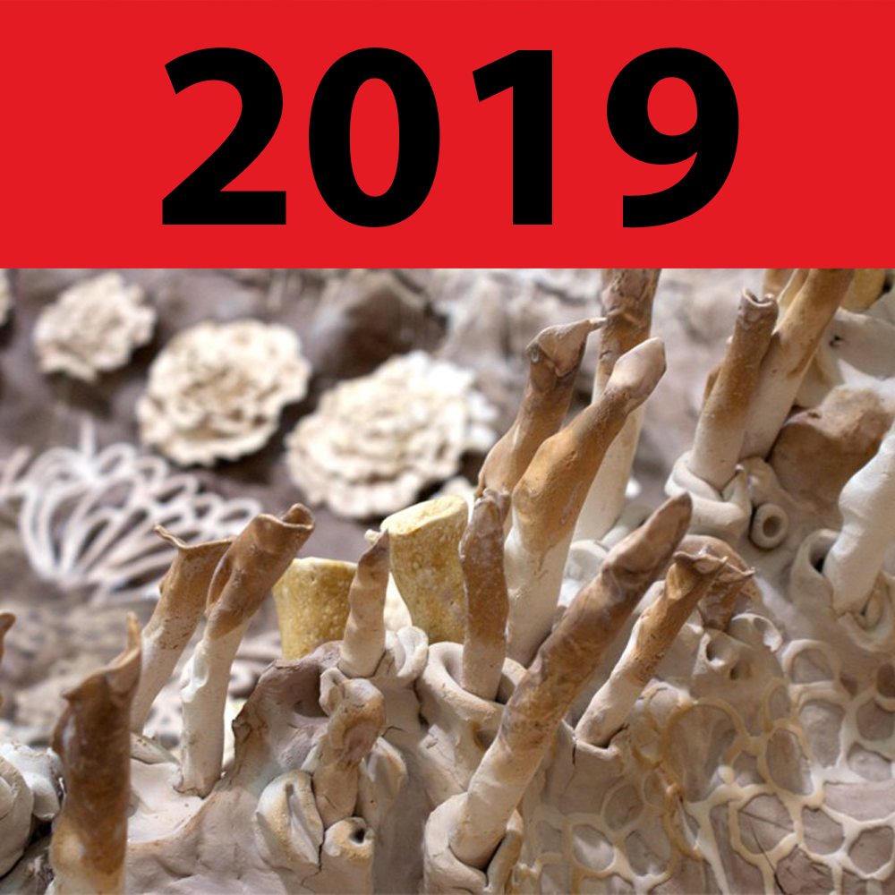 2019. Cover: Sediment of a Child (her eyes cut like flowers) by Lux Gow-Habrich