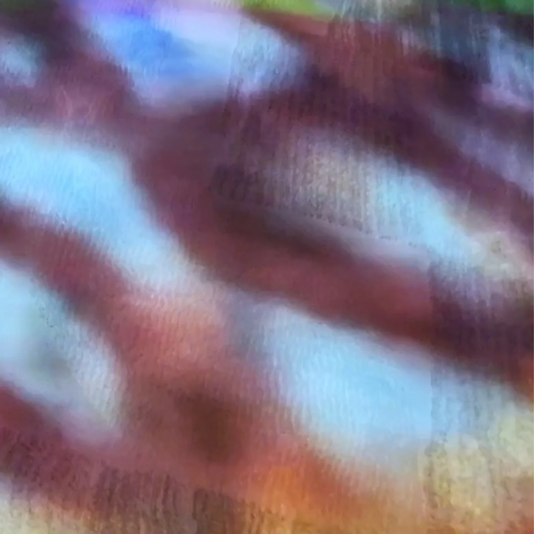 Hotel Carpets (dance series)