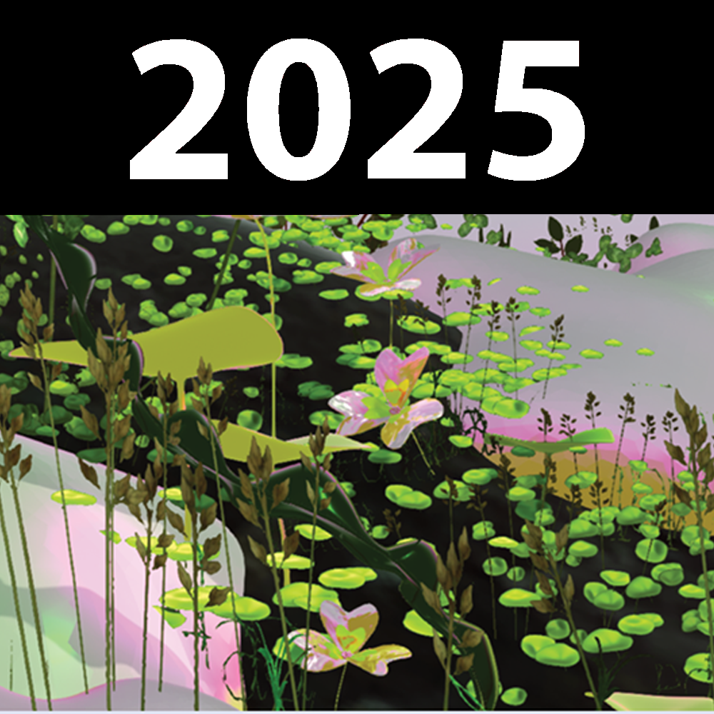 2025. Cover: A Boundless and Radiant Aura by Diana Lynn VanderMeulen