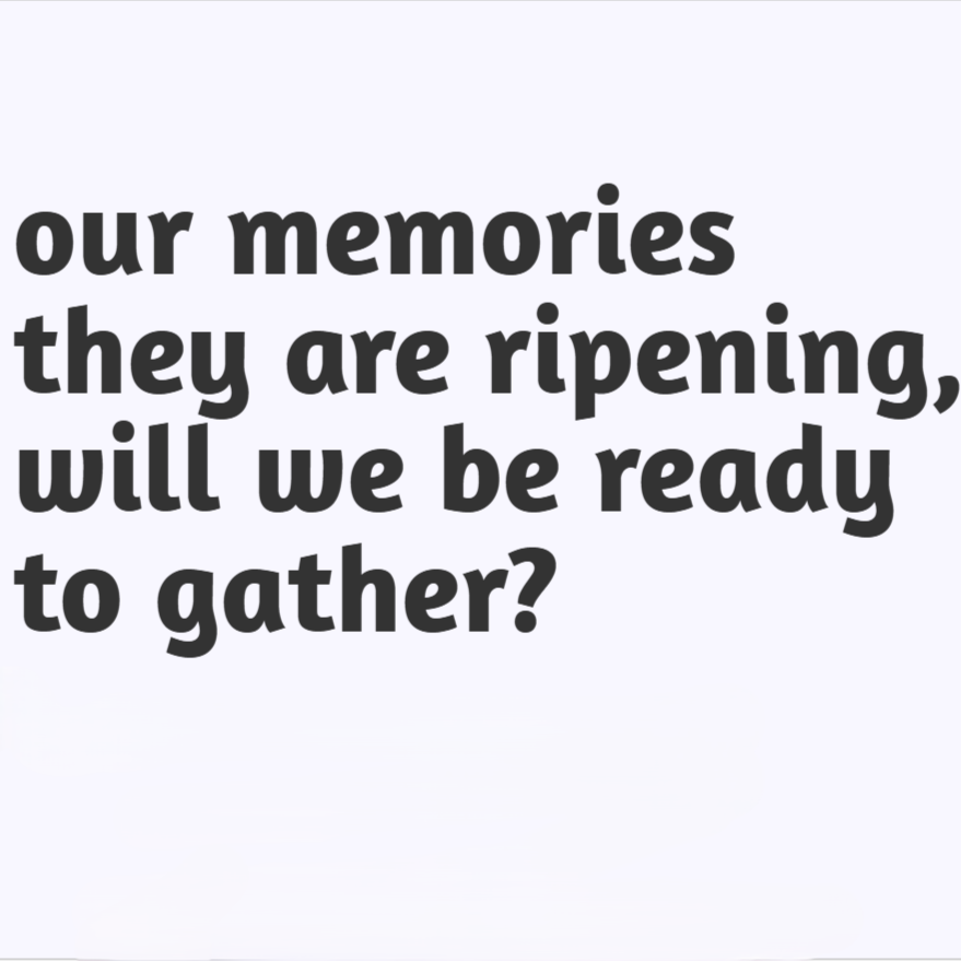 Digital Exhibition: our memories they are ripening, will we be ready to gather?