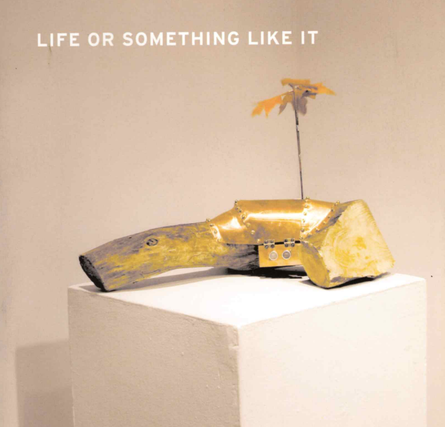 Programs & Catalogues