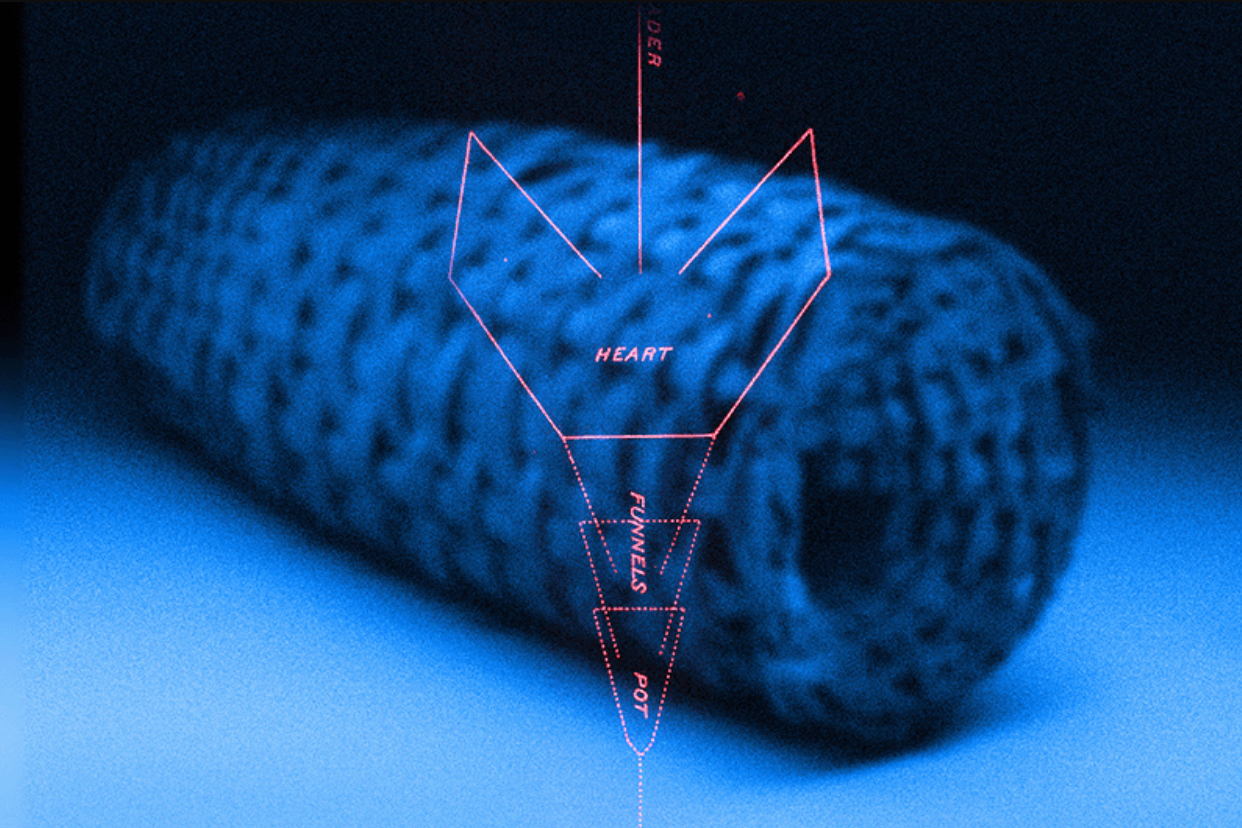 FORMAT 2025-26: Fyke Net