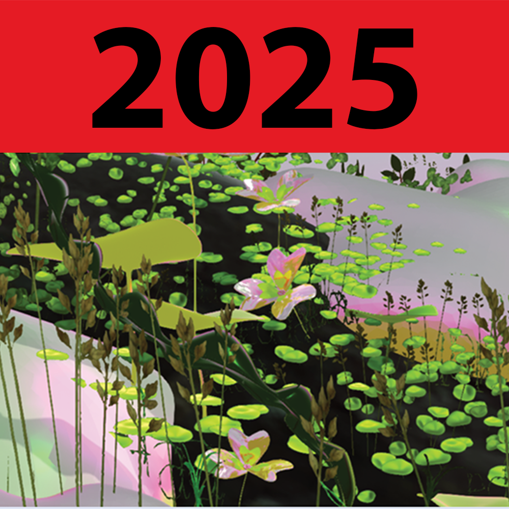 2025. Cover: A Boundless and Radiant Aura by Diana Lynn VanderMeulen