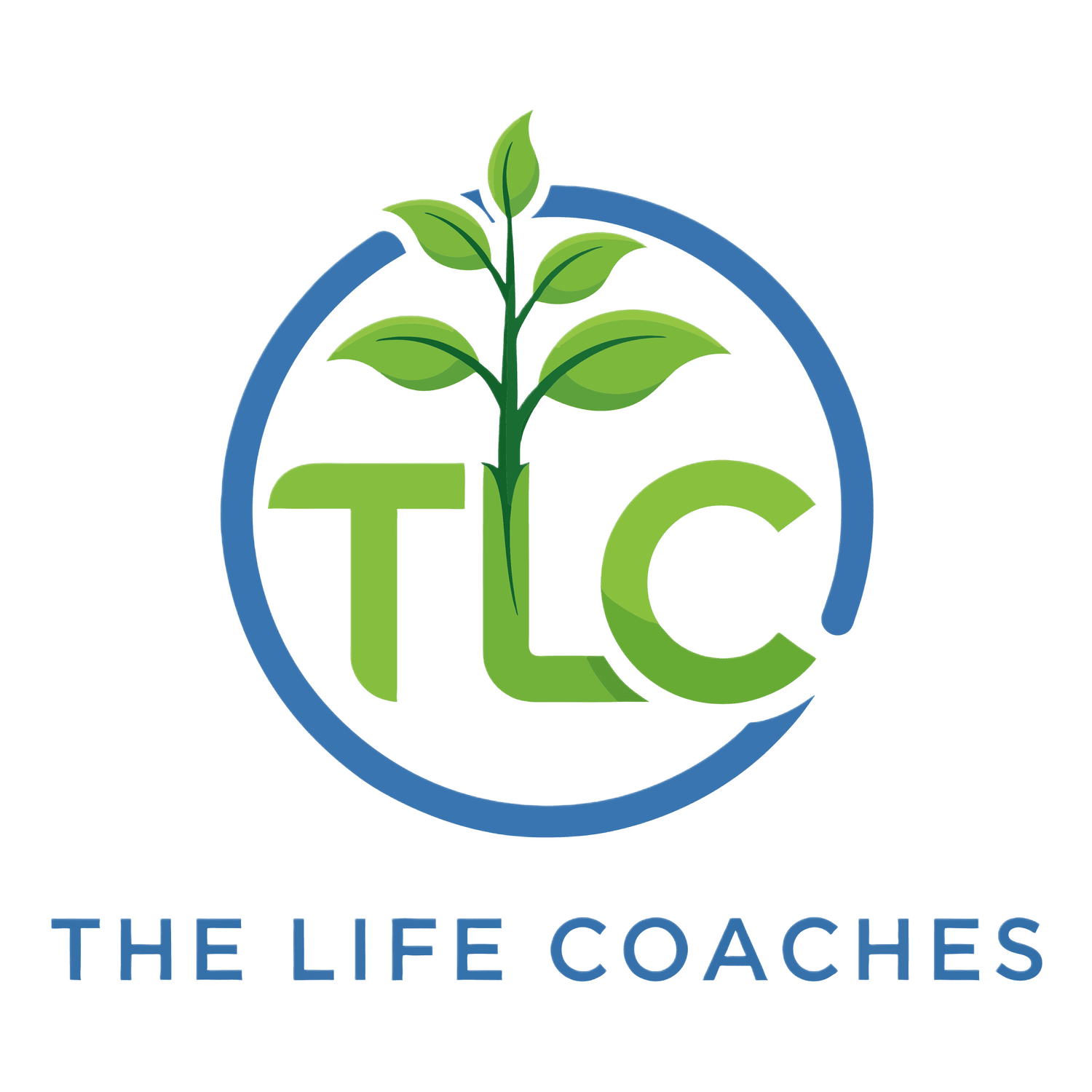 The Life Coaches