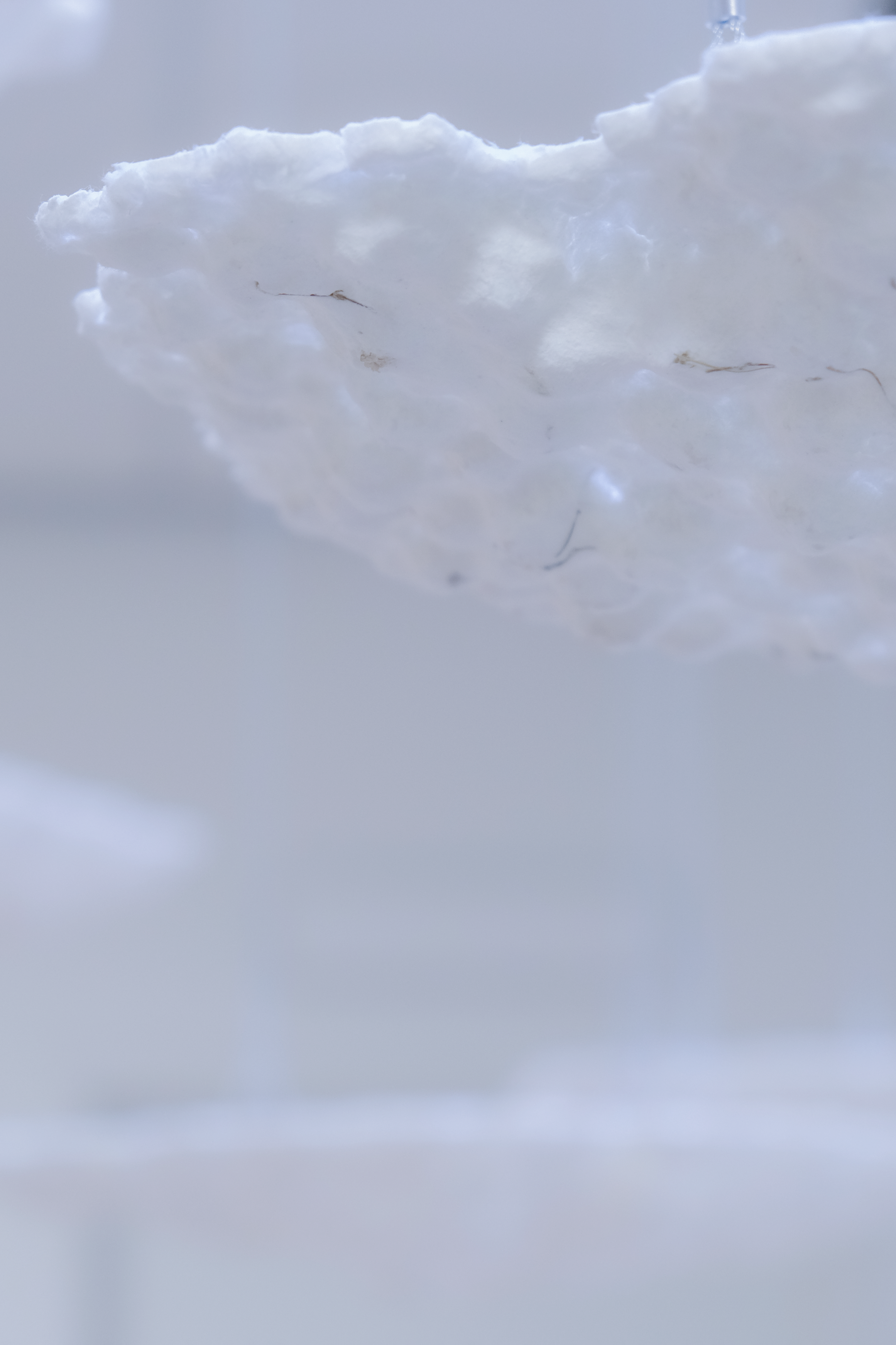 DSCF1110L_00.png