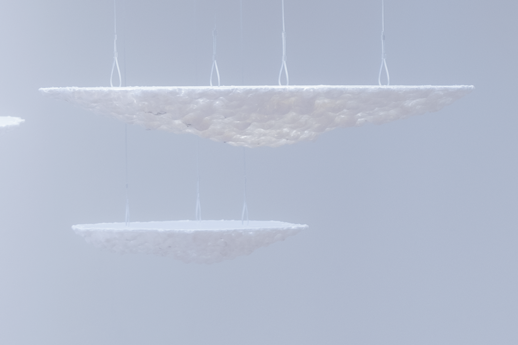 LLLDSCF1315_00.png