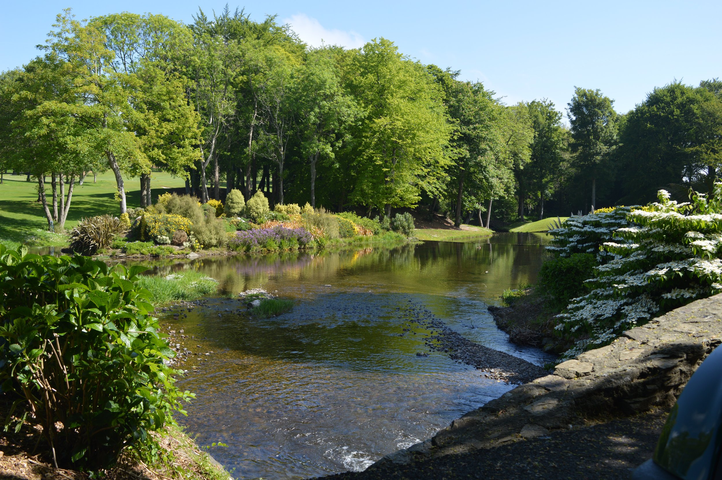 DSC_0866.JPG