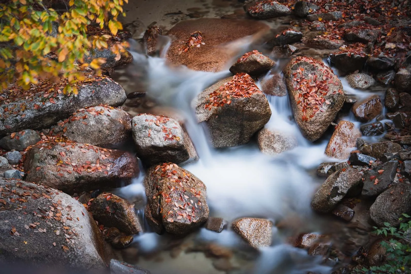 Nakasendo forest river 1.jpg