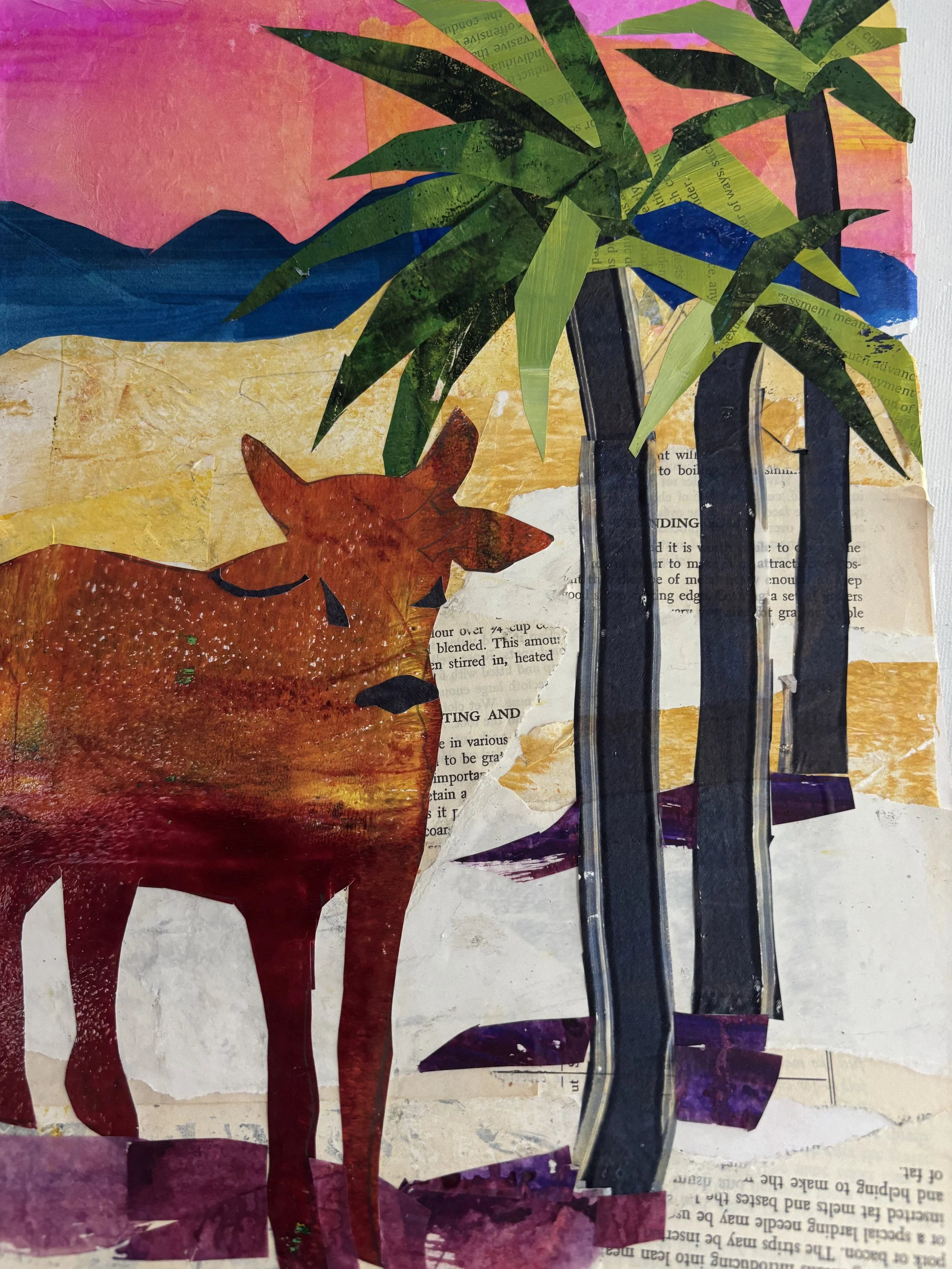 Baja Cow 9x12 Mixed Media