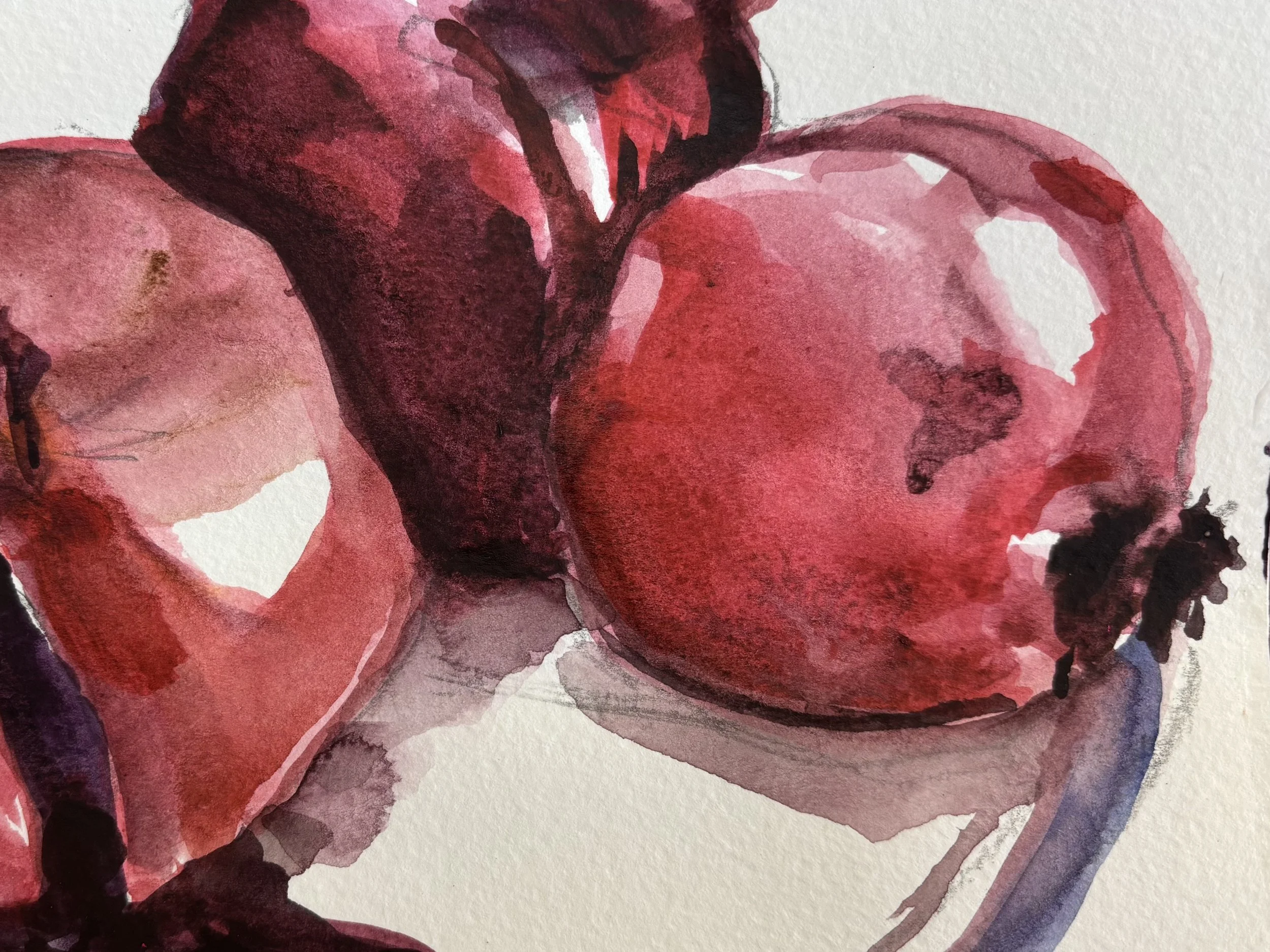 Three Pomegranates 6 x 9 Watercolor