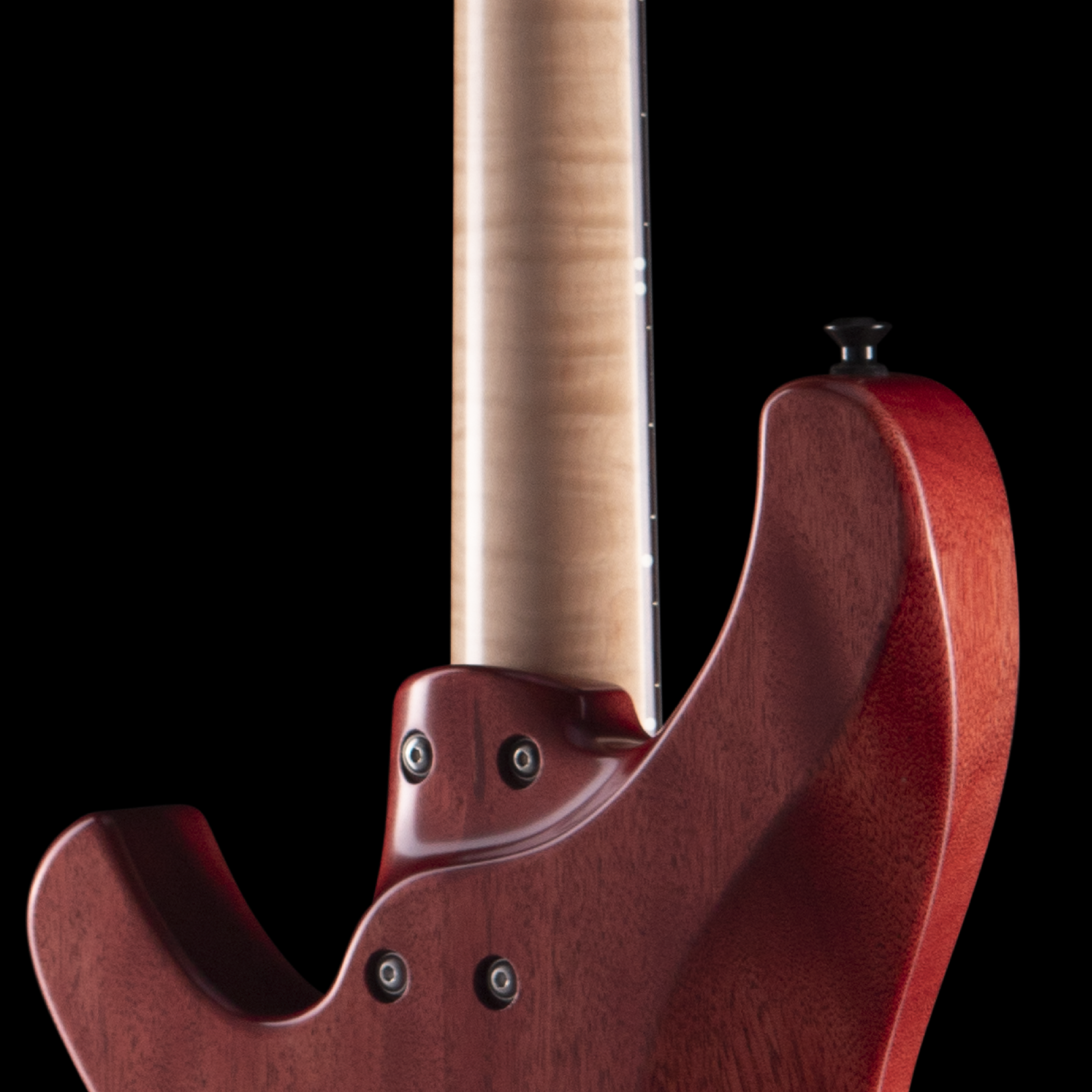 enTour 2026 Torzal Bass Genesse - Back Shoulder.png