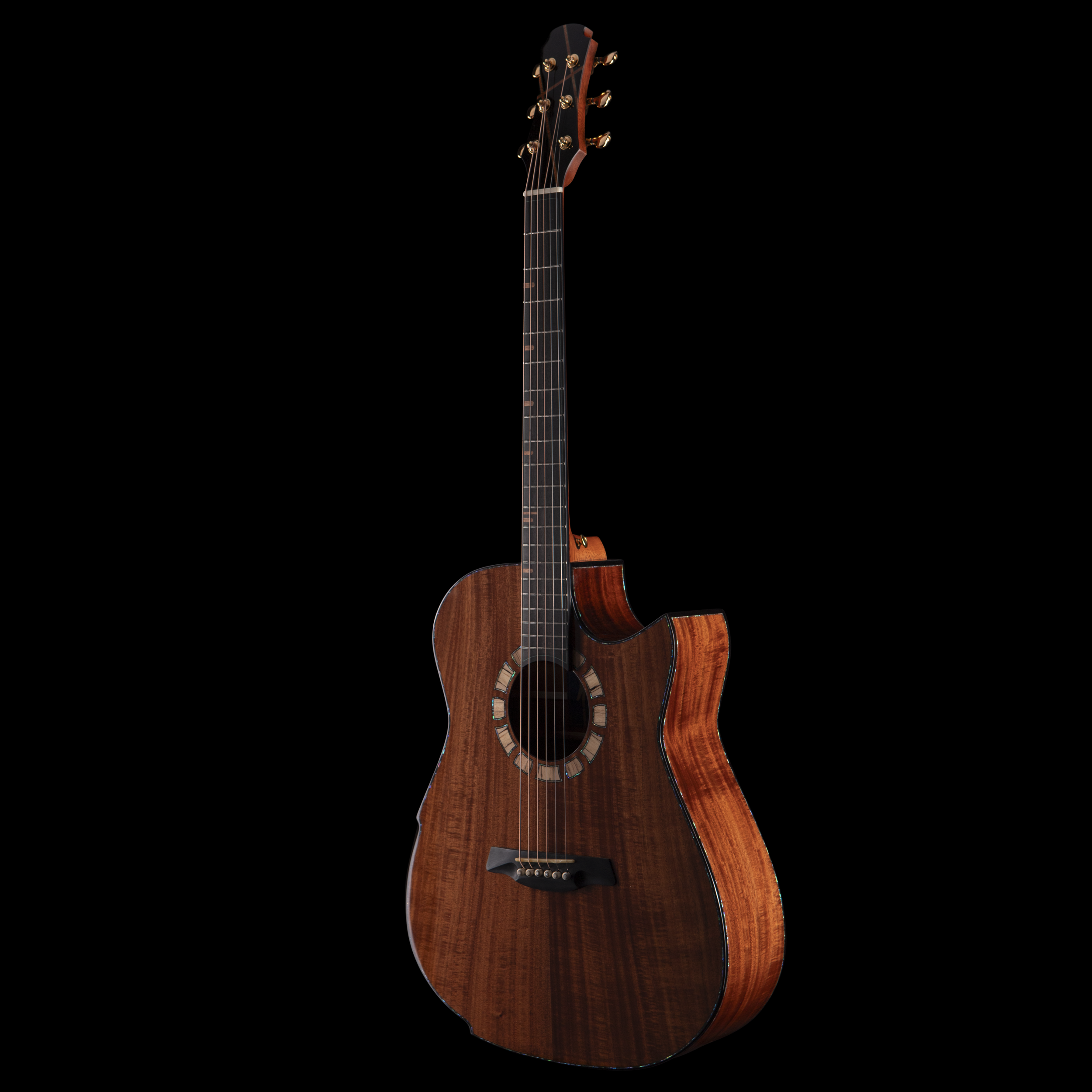 A wooden Hozen acoustic guitar with a dark fretboard and gold tuning pegs, set against a black background.