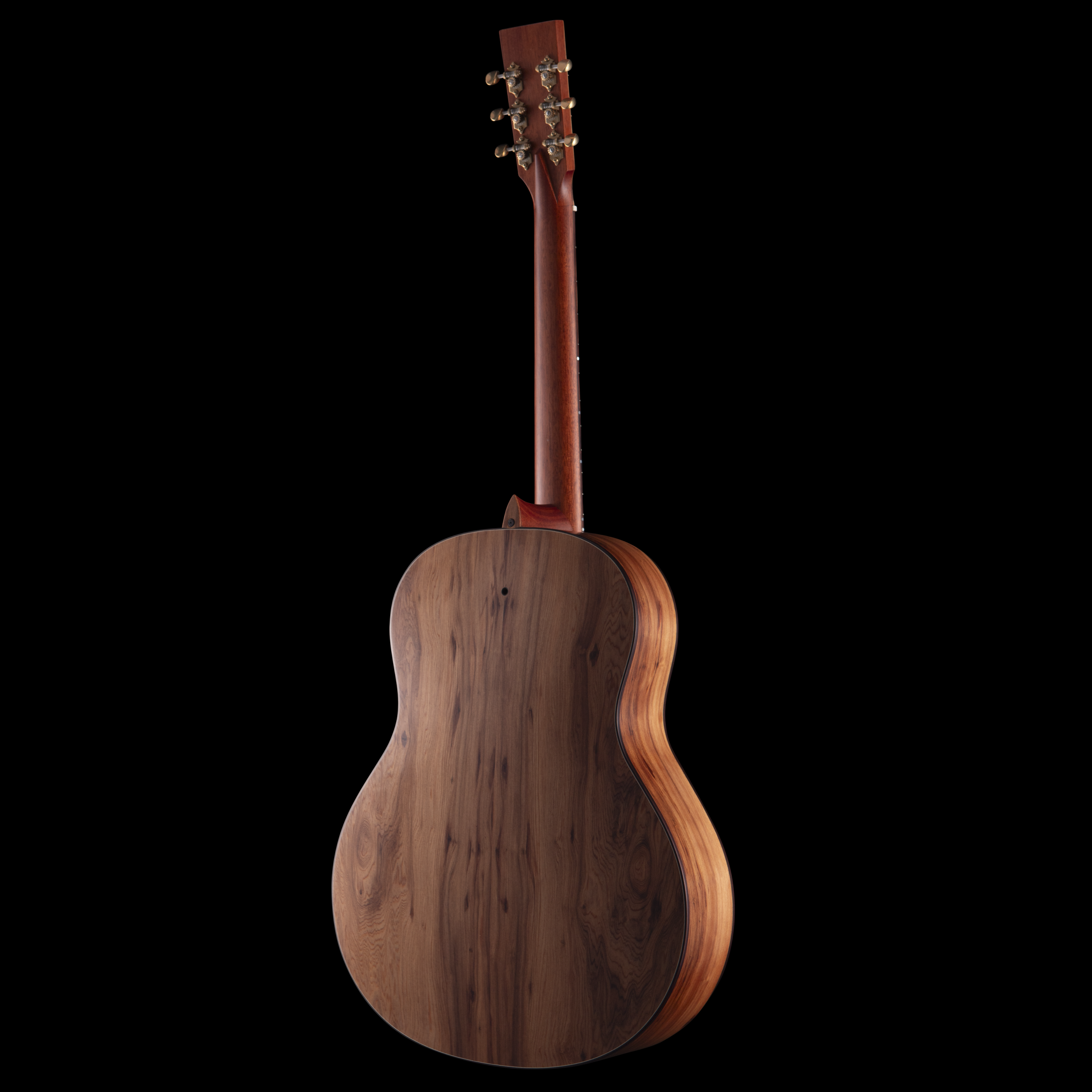enTour 2026 R Robinson Guitar Resonator - Back Full.png