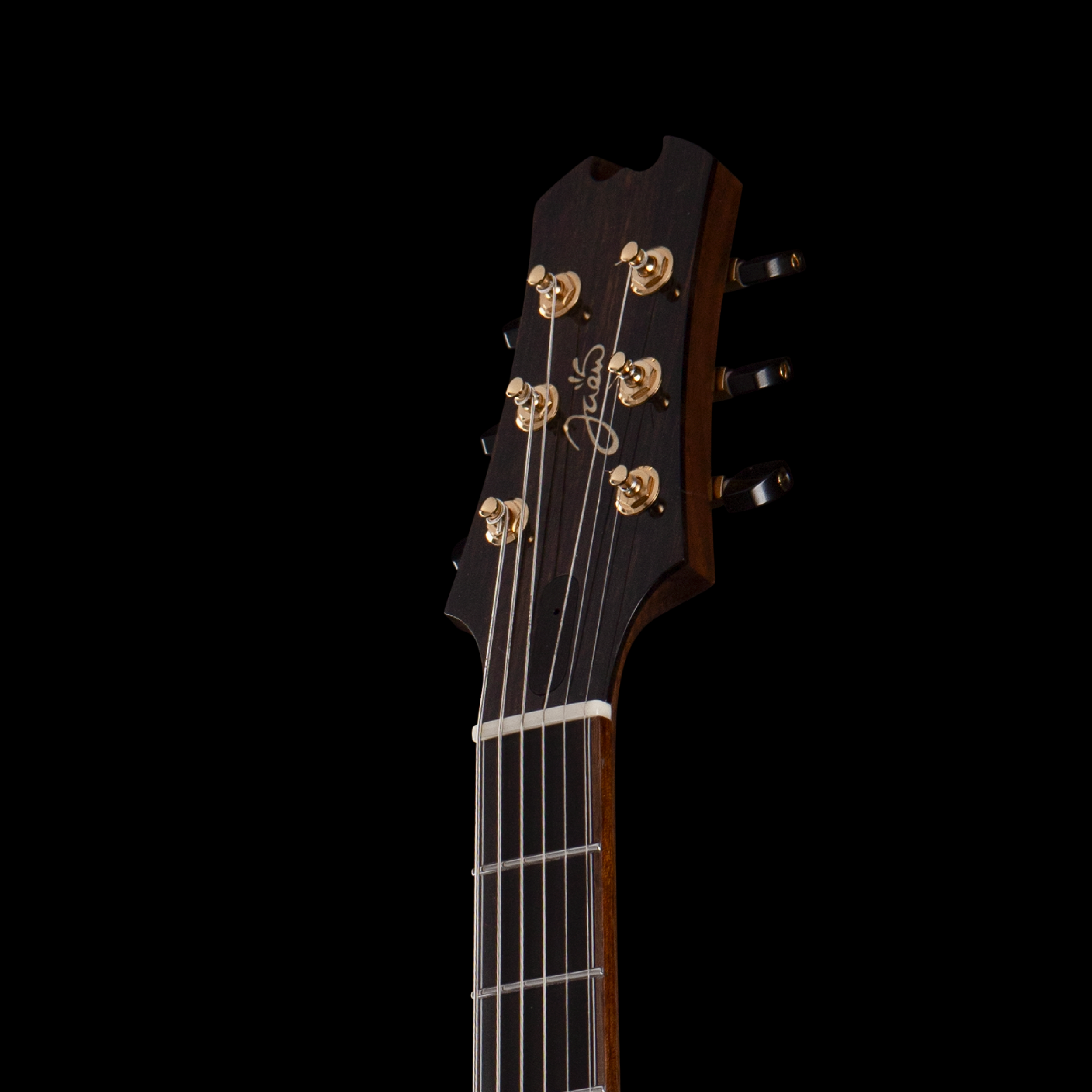enTour 2026 Guitarras Jaen - Central - Headstock Front.png