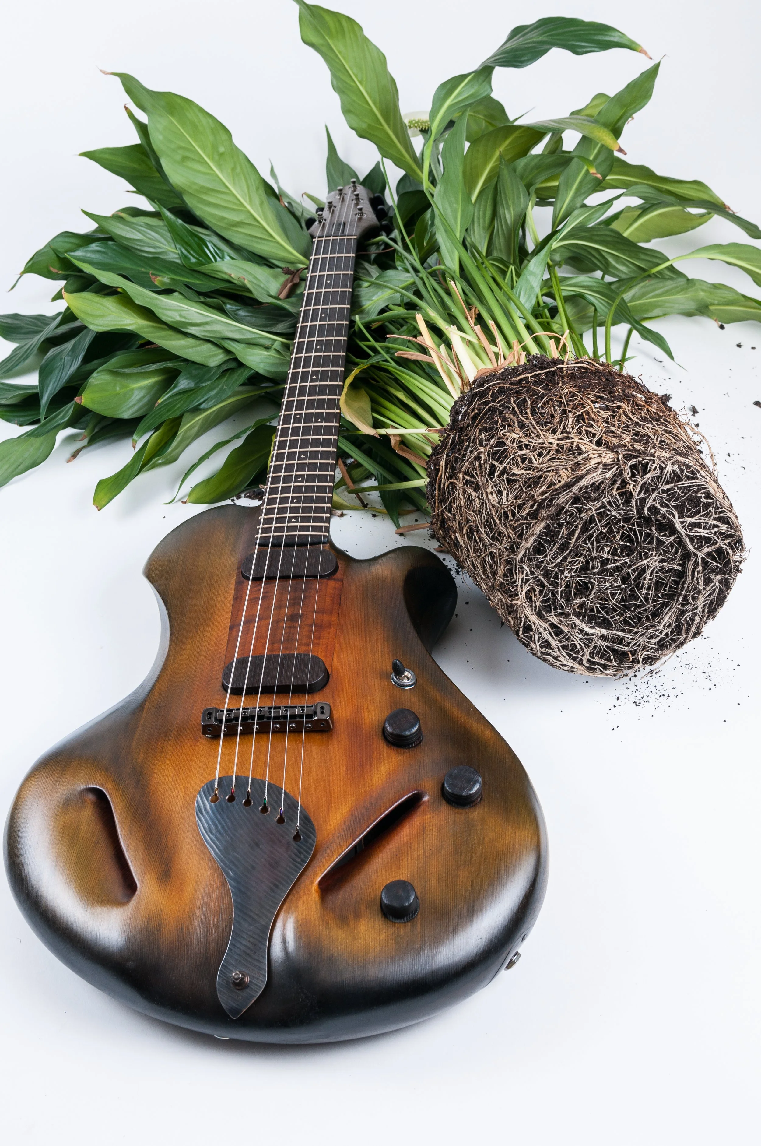 An electric Ergon guitar is laying on a white surface next to a large potted houseplant with broad green leaves and soil on the surface.