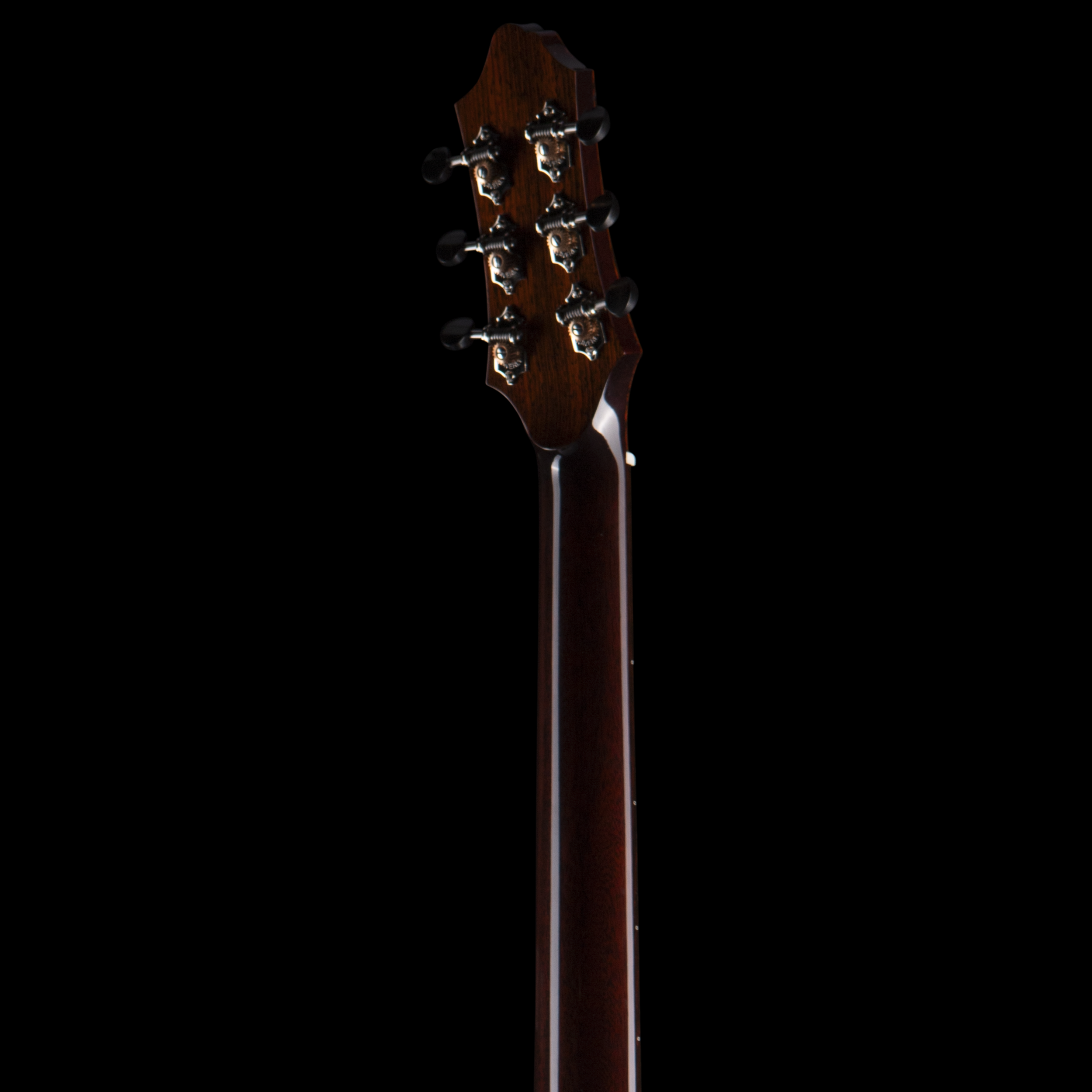 enTour 2026 Galloup Guitar G3 - Headstock Back.png