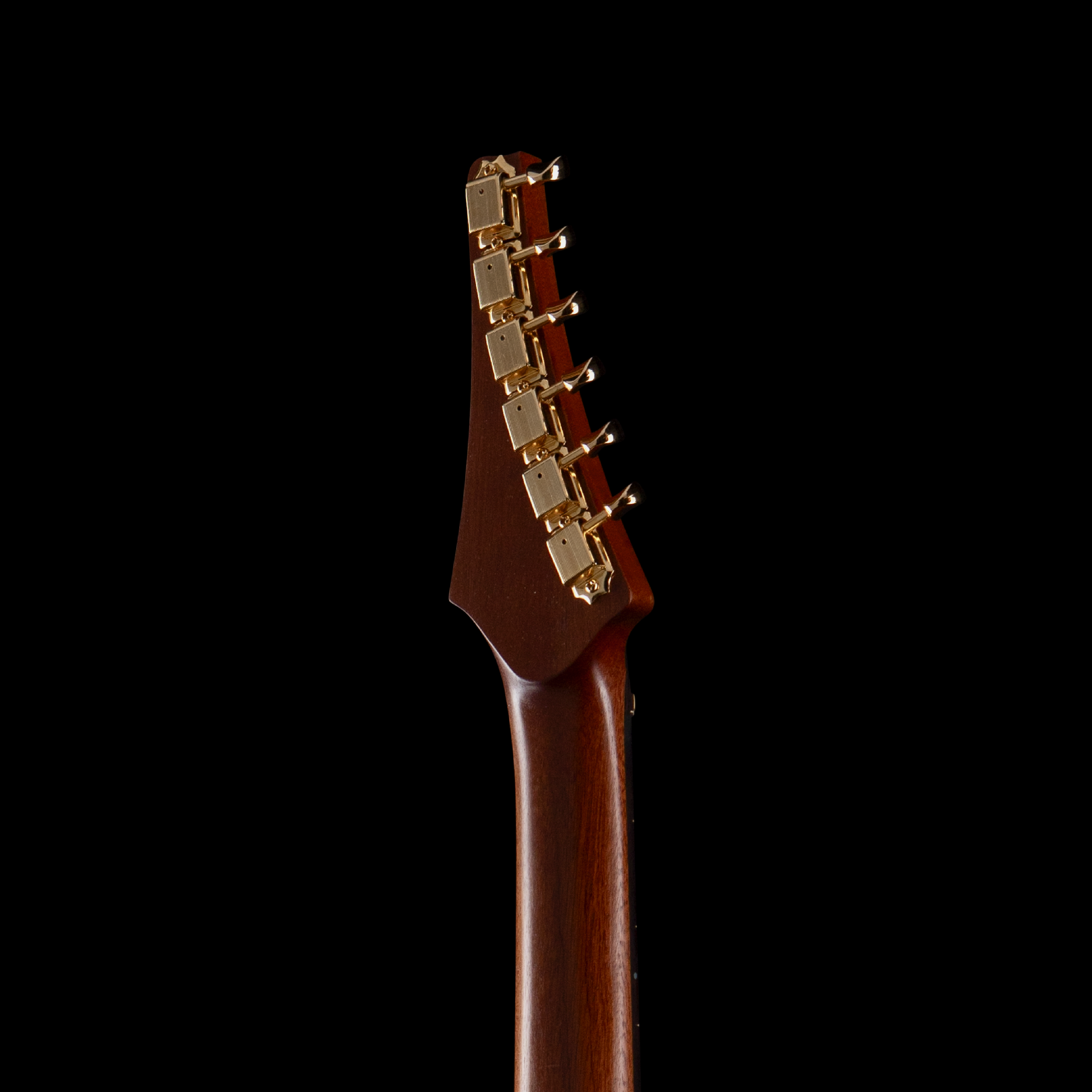 entour 2026 AJ Lucas Obelisk Flower Beetle - Headstock Back.png