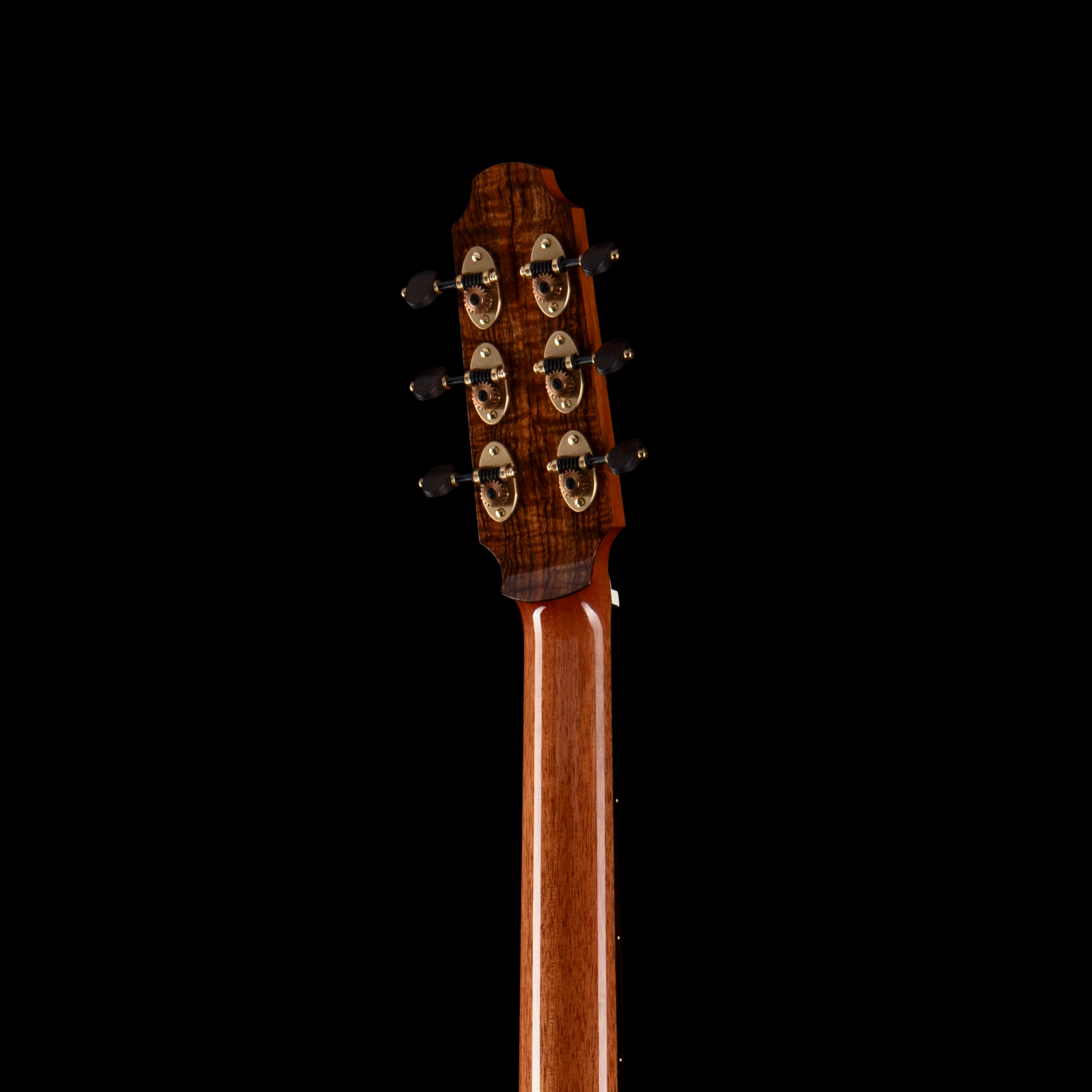 enTour 2026 Spohn Guitars OM-C 12-fret - Headstock Back.png