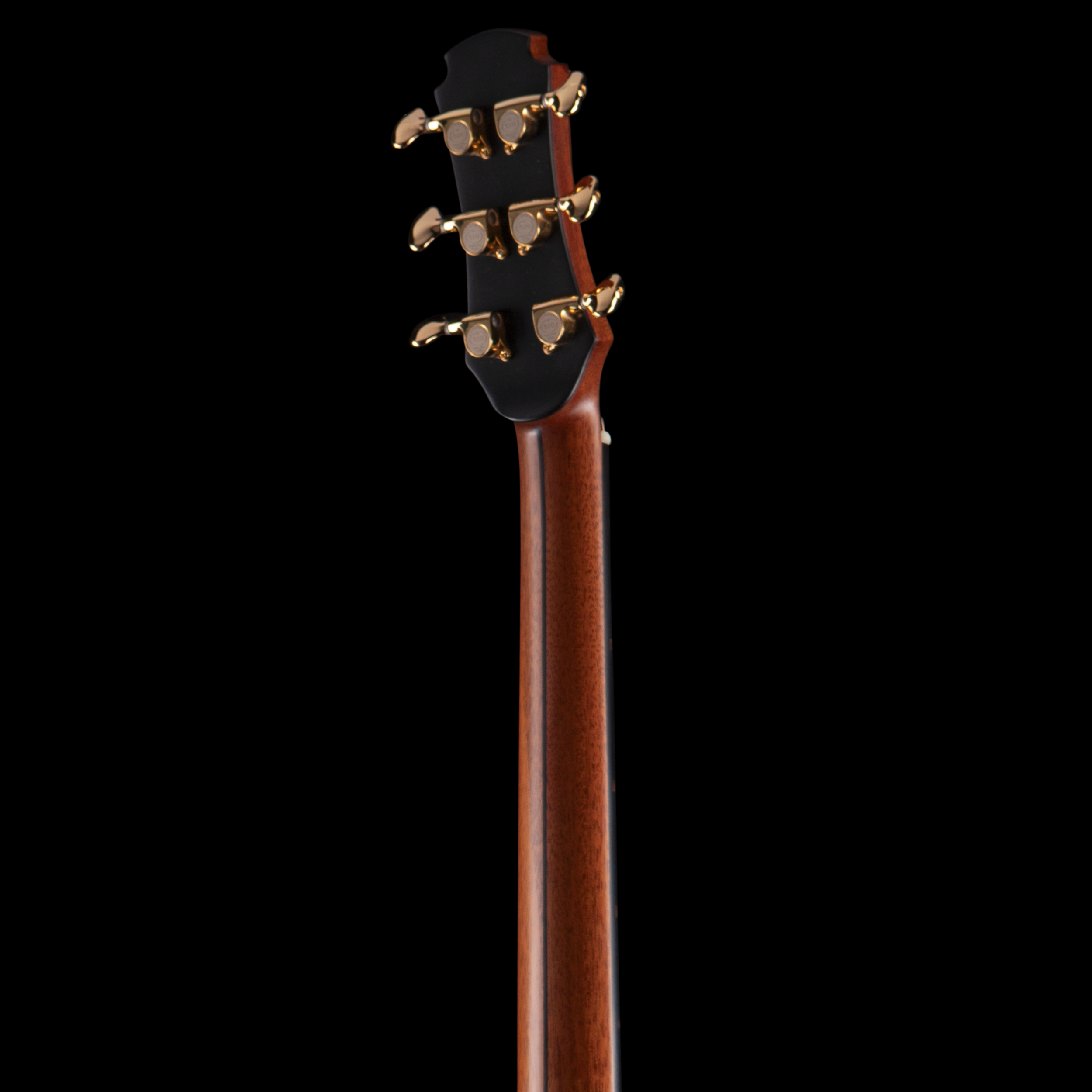 Close-up of the headstock of a wooden Hozen guitar with six gold tuning pegs, against a black background.