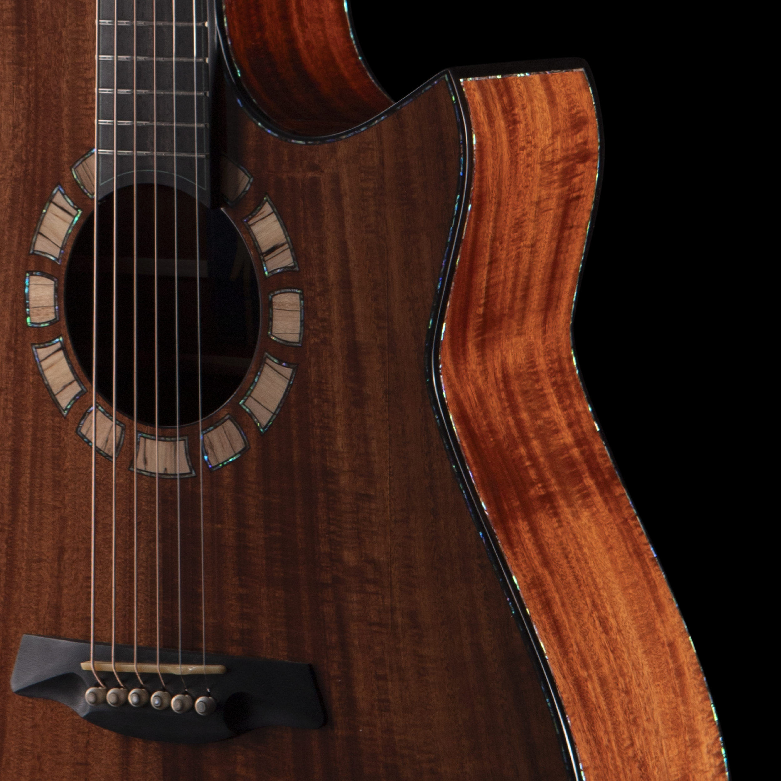 Close-up of a polished wooden acoustic hozen guitar with fretboard, soundhole, and strings visible against a dark background.