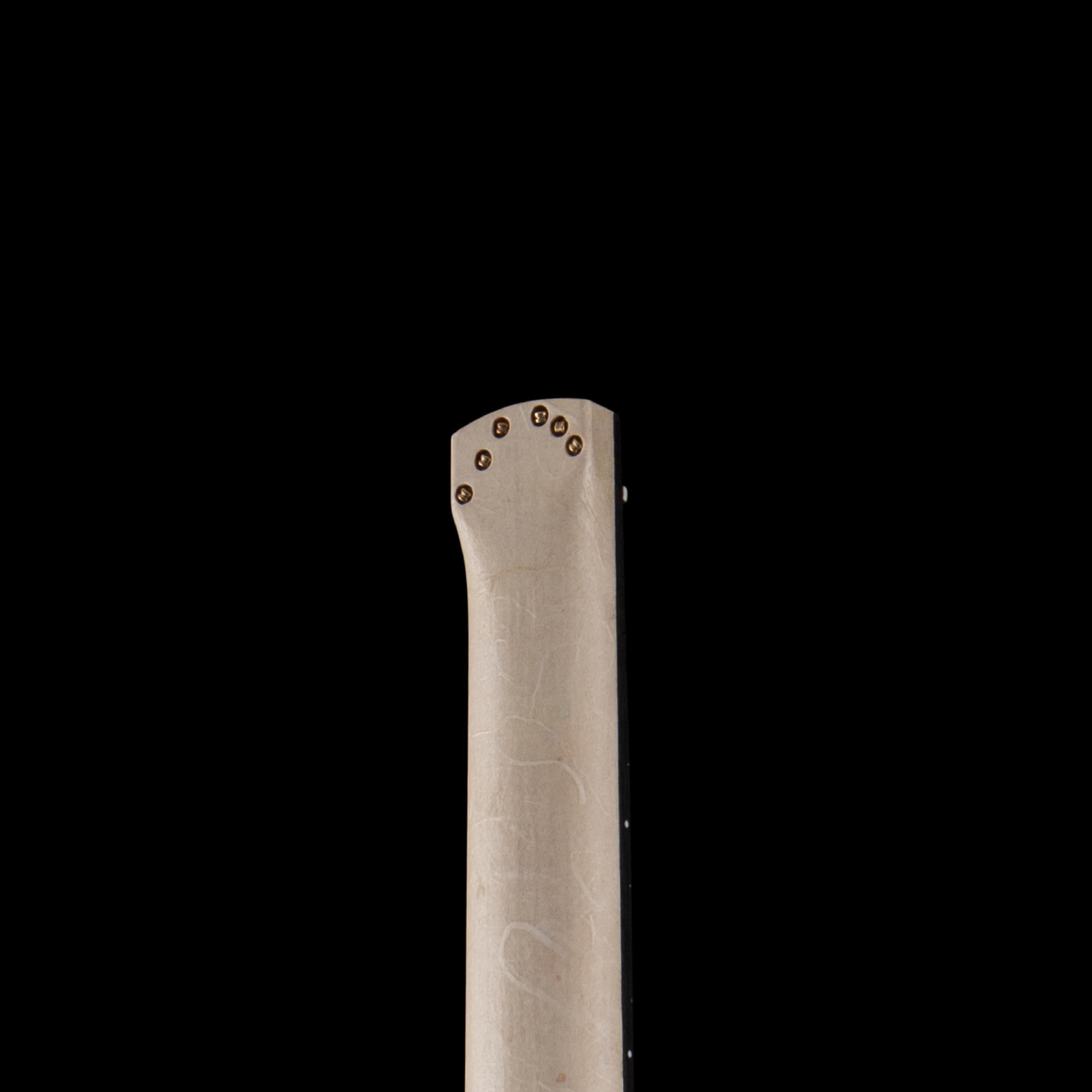 entour 2026 Sankey Electric Feather ATCF - Headstock Back.png