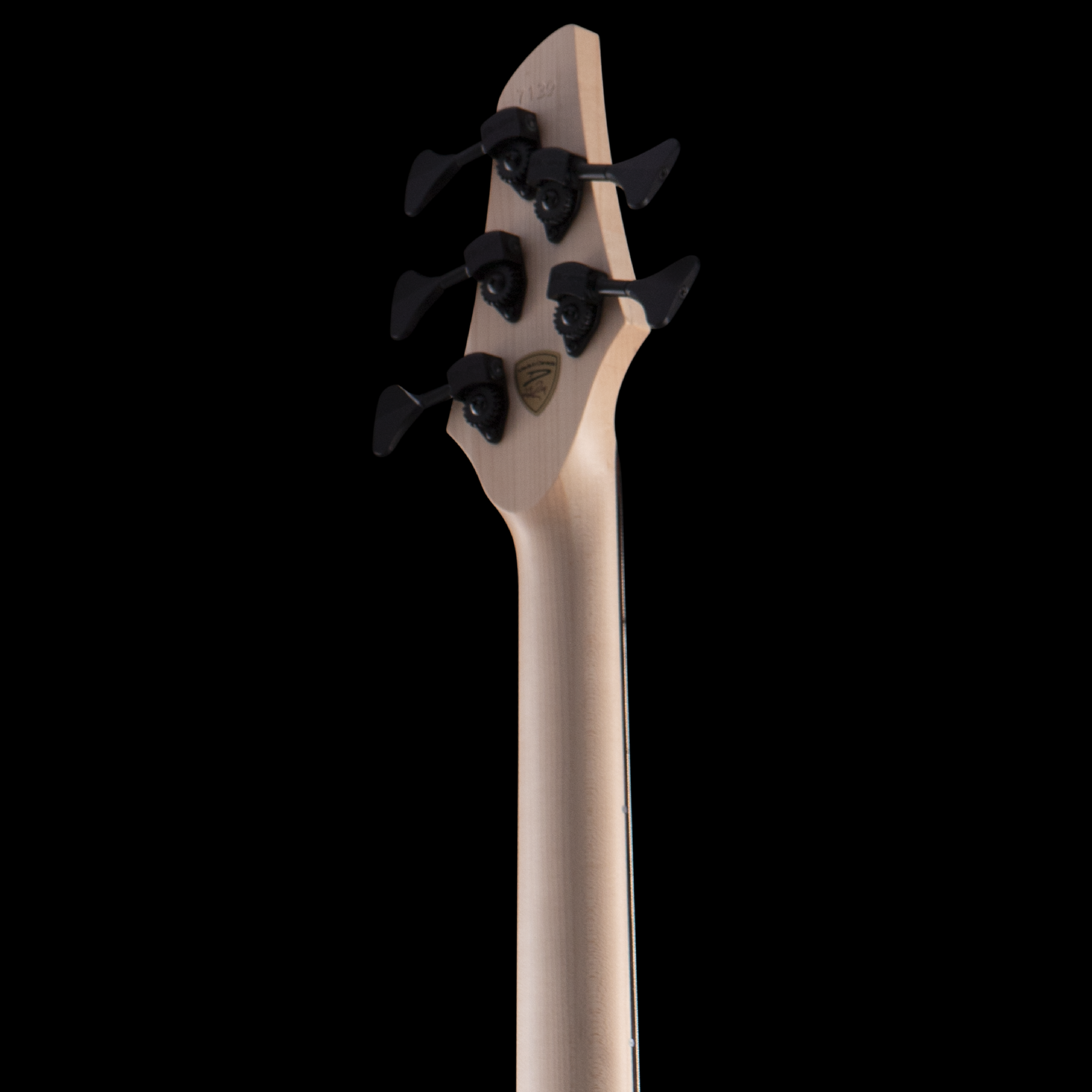 enTour 2026 Dingwall Bass ABZ - Headstock Back.png