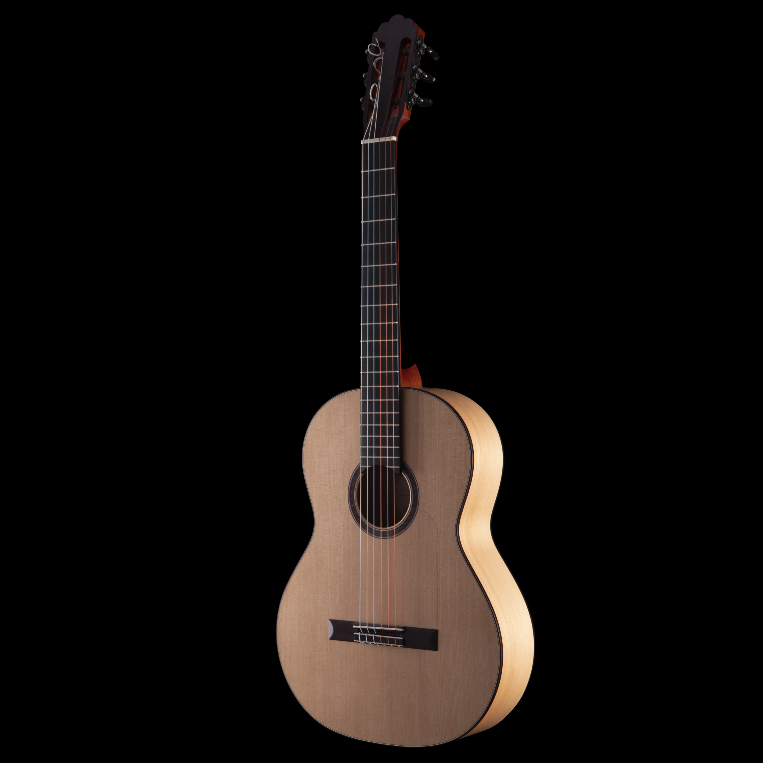 enTour 2026 R Robinson Guitar Flamenco - Front Full.png