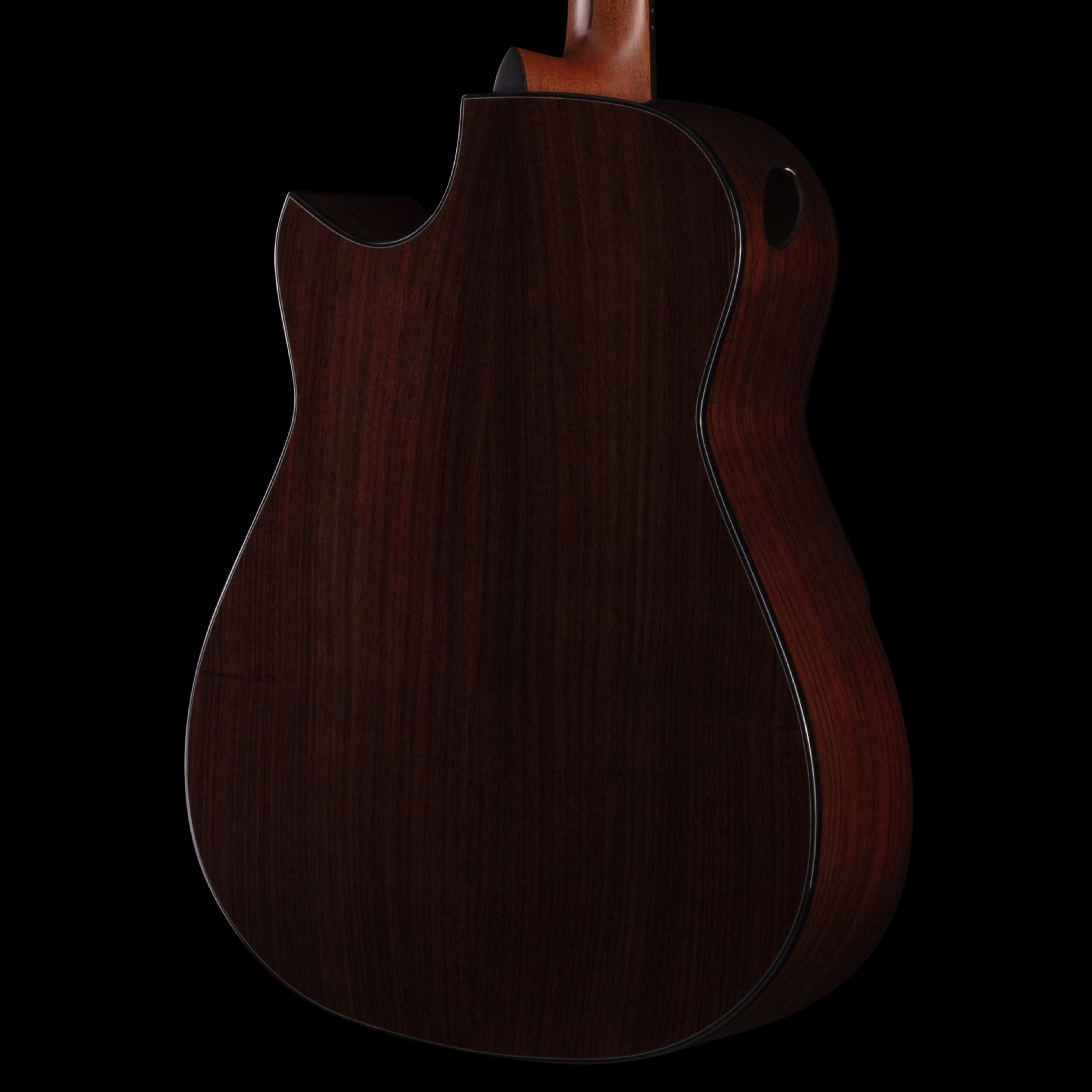 enTour 2026 Hozen Guitars Gold Label -  Body Back.png