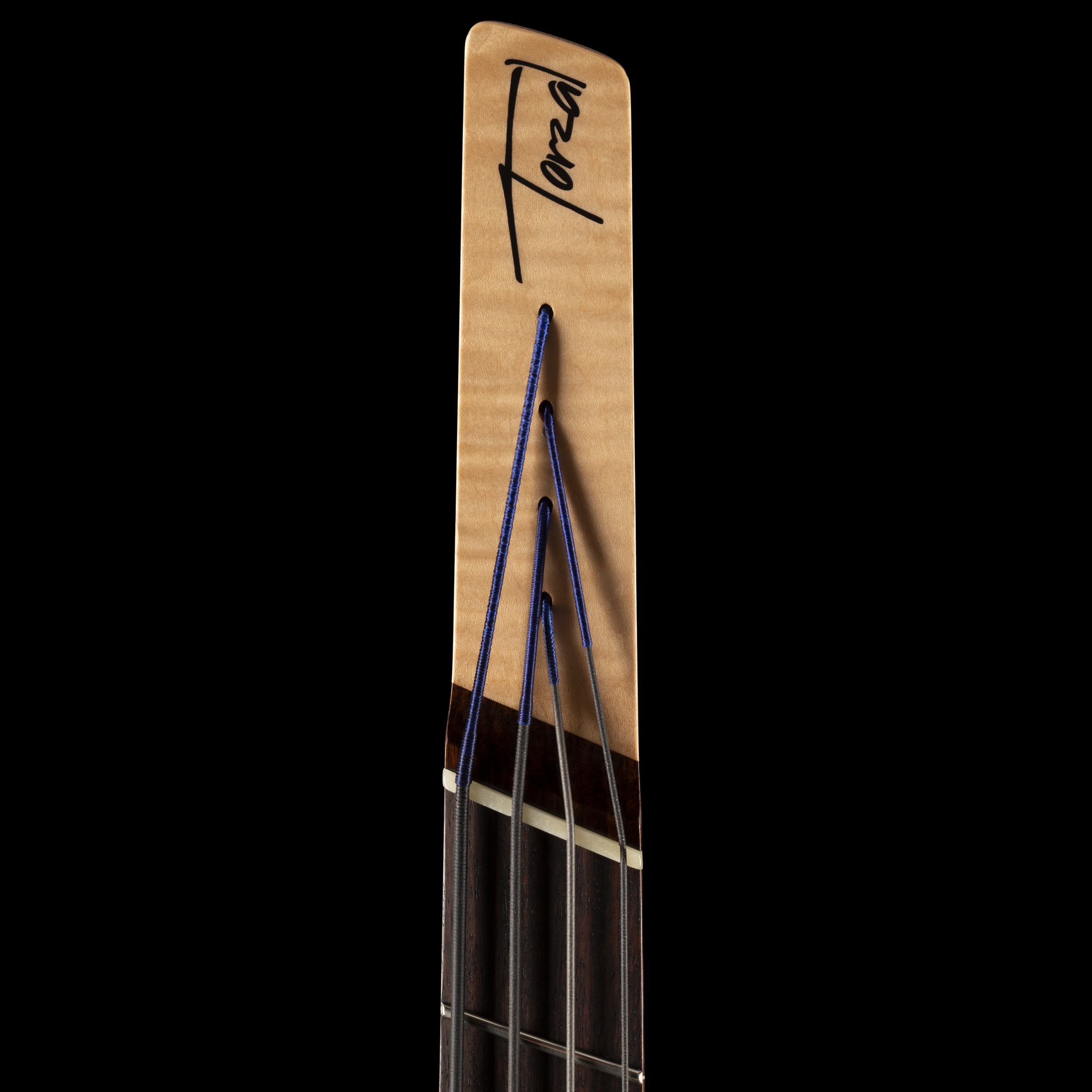 Torzal Bass Genesse - Headstock Front.png
