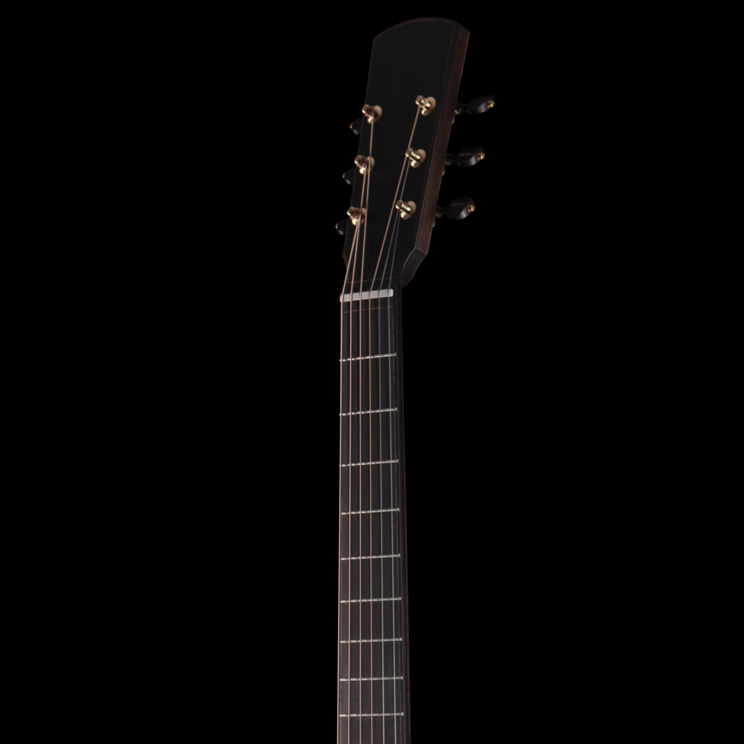 Close-up of the headstock of a classical Dion guitar, showing tuning pegs and strings, against a black background.
