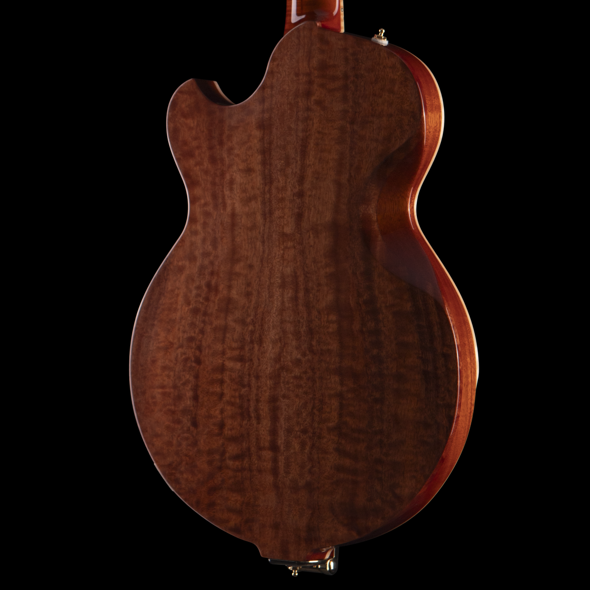 Rear view of a Djerjinski guitar with a glossy wooden finish, set against a black background.
