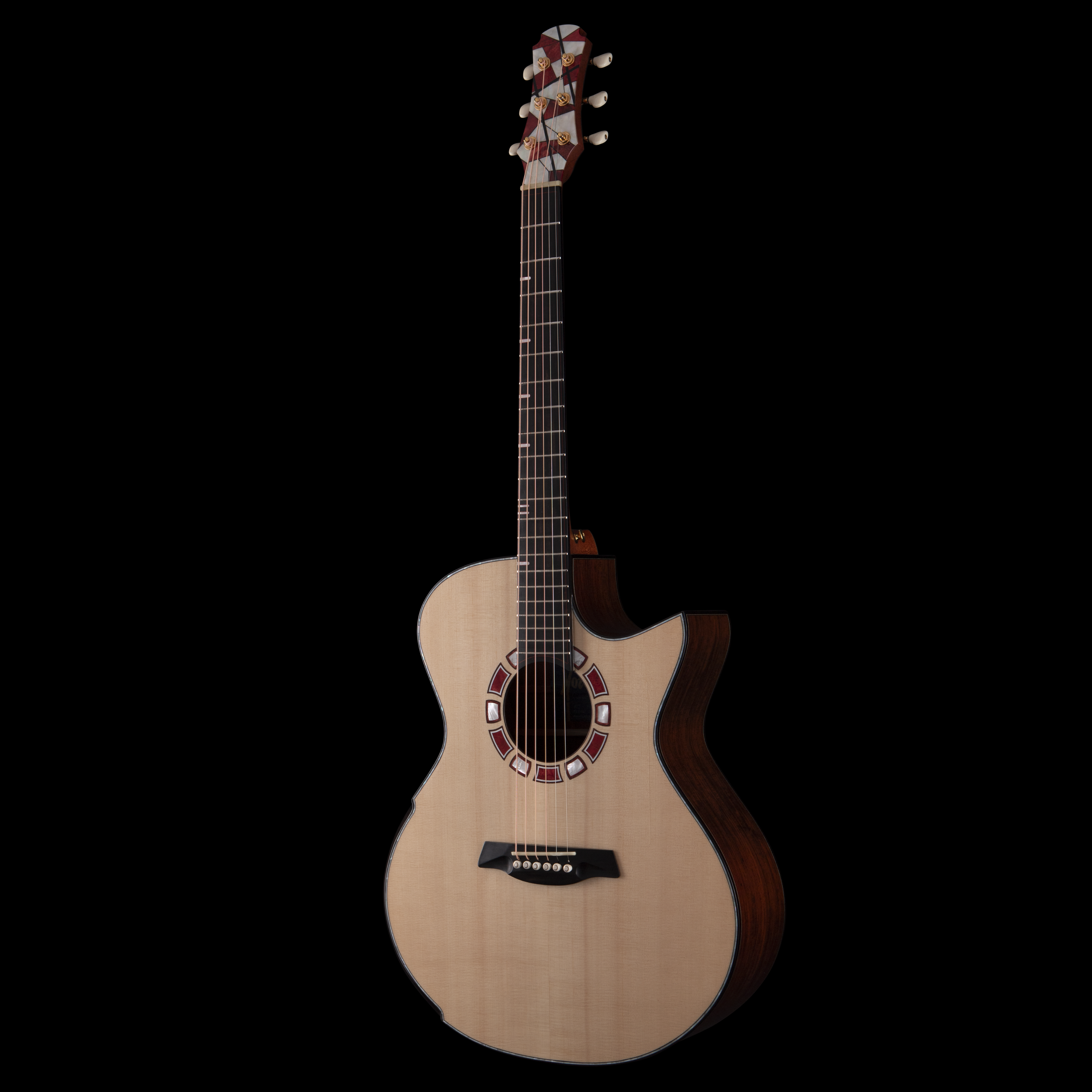 enTour 2026 Hozen Guitars Blue Label 259 - Front Full.png