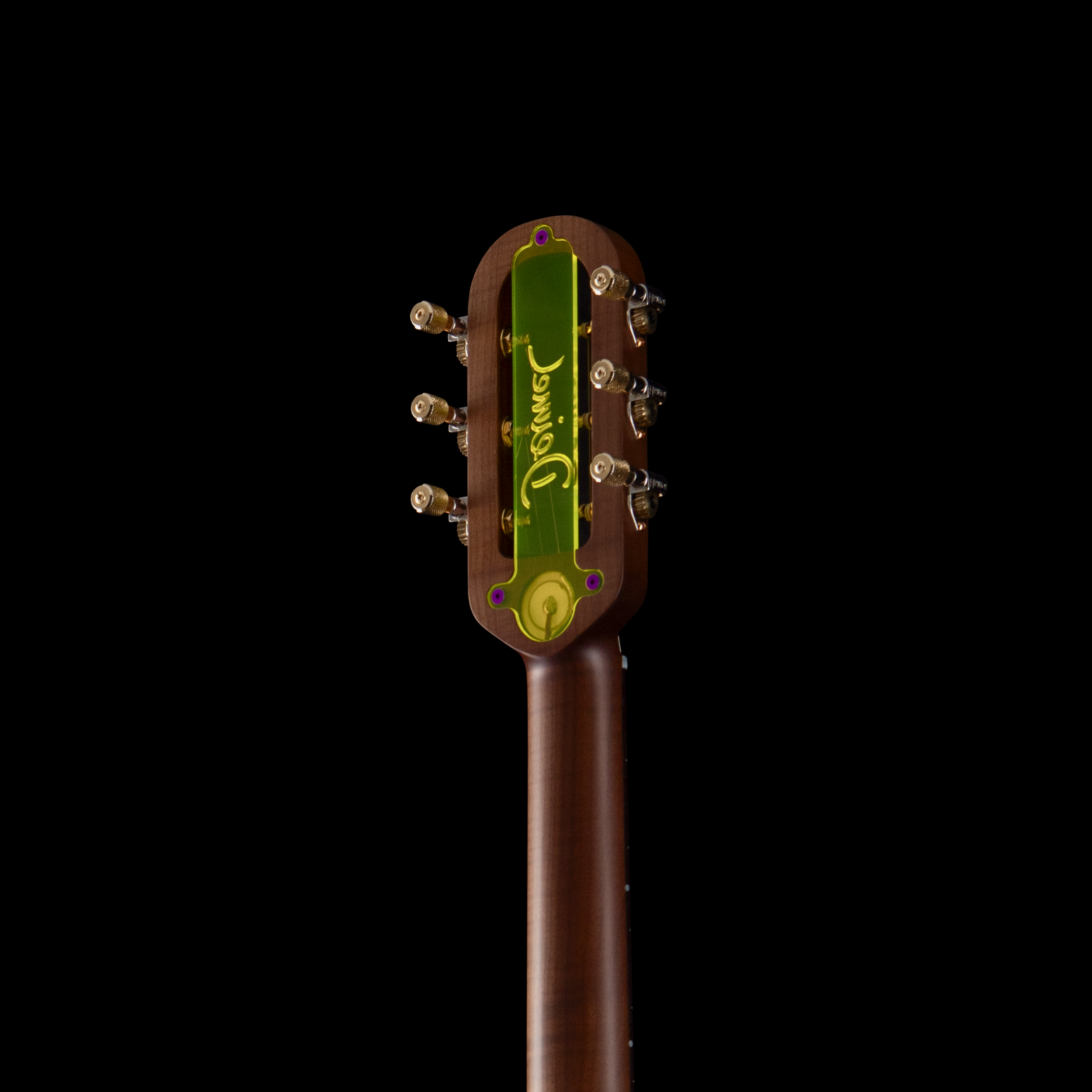 enTour 2026 Deimel Two Star - Headstock Back.png